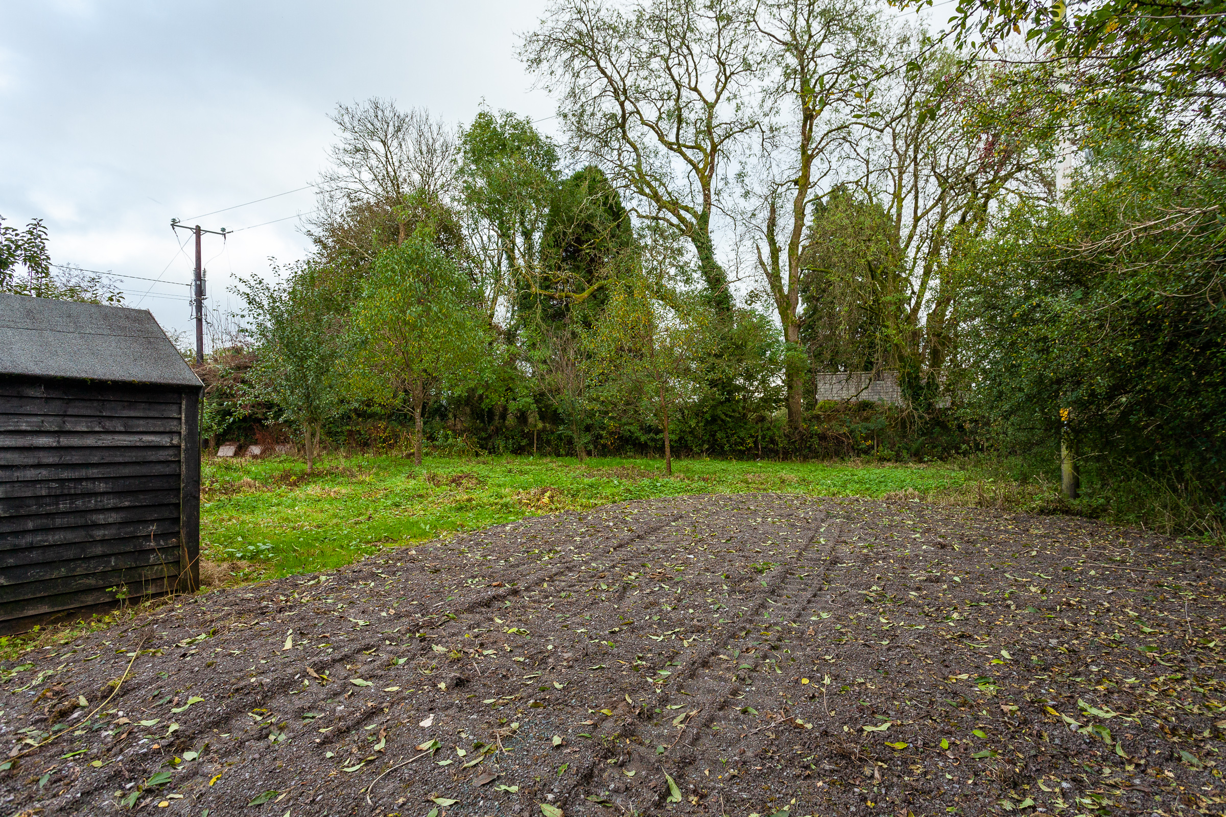 Photo: Niamh Whitty/www.pictureitsold.ie
