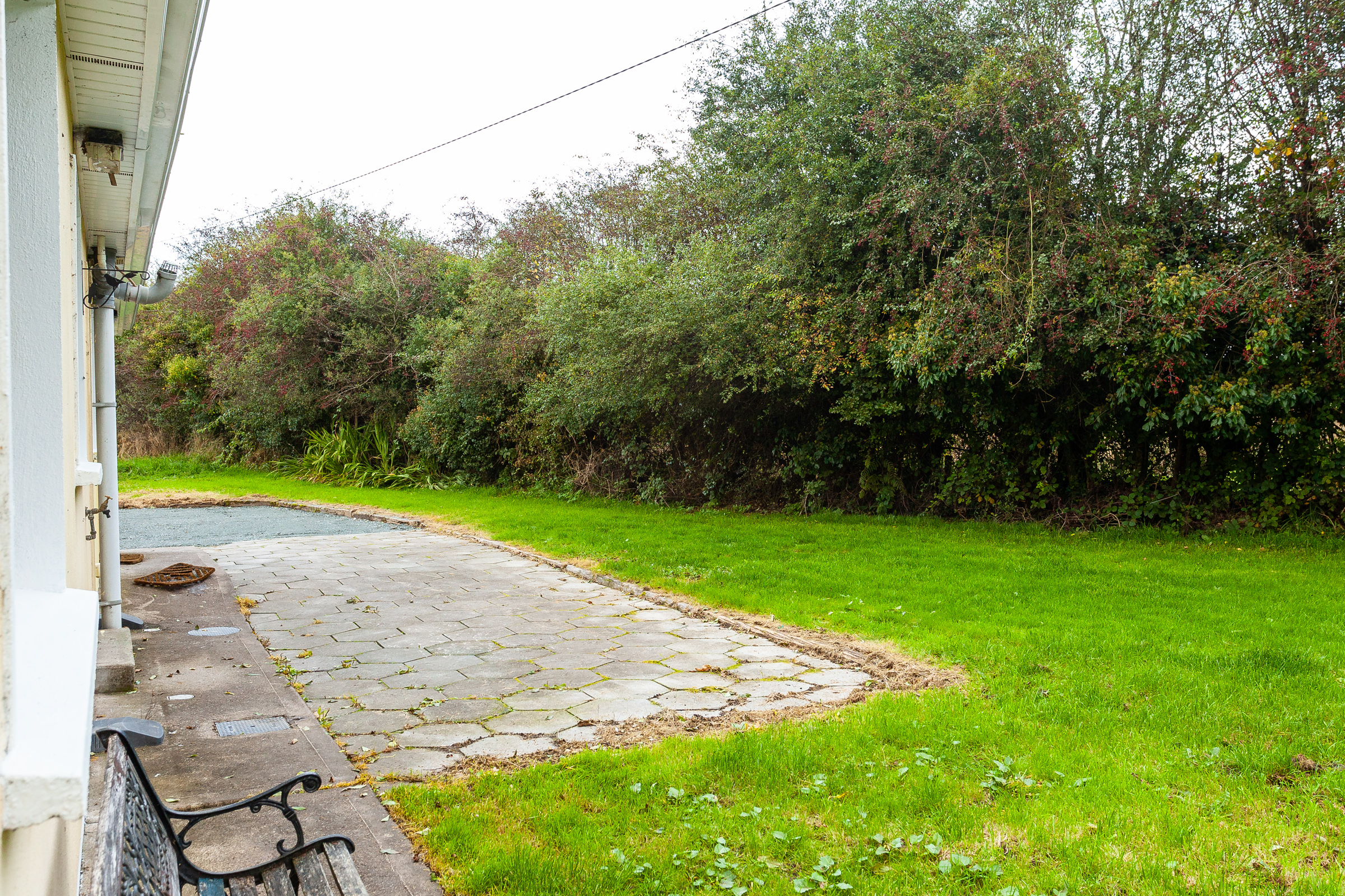 Photo: Niamh Whitty/www.pictureitsold.ie