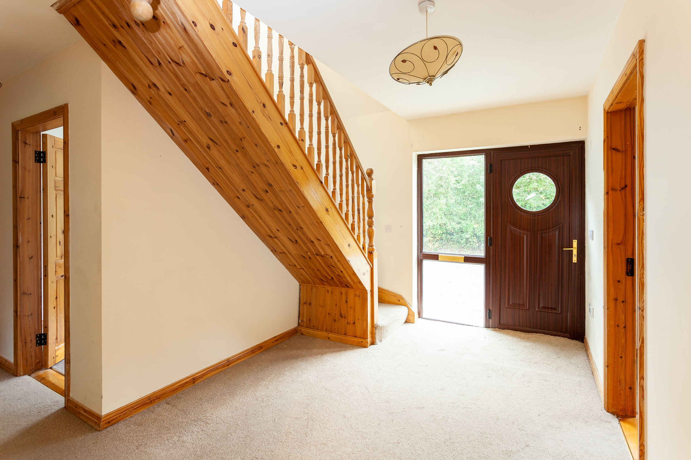 Photo: Niamh Whitty/www.pictureitsold.ie