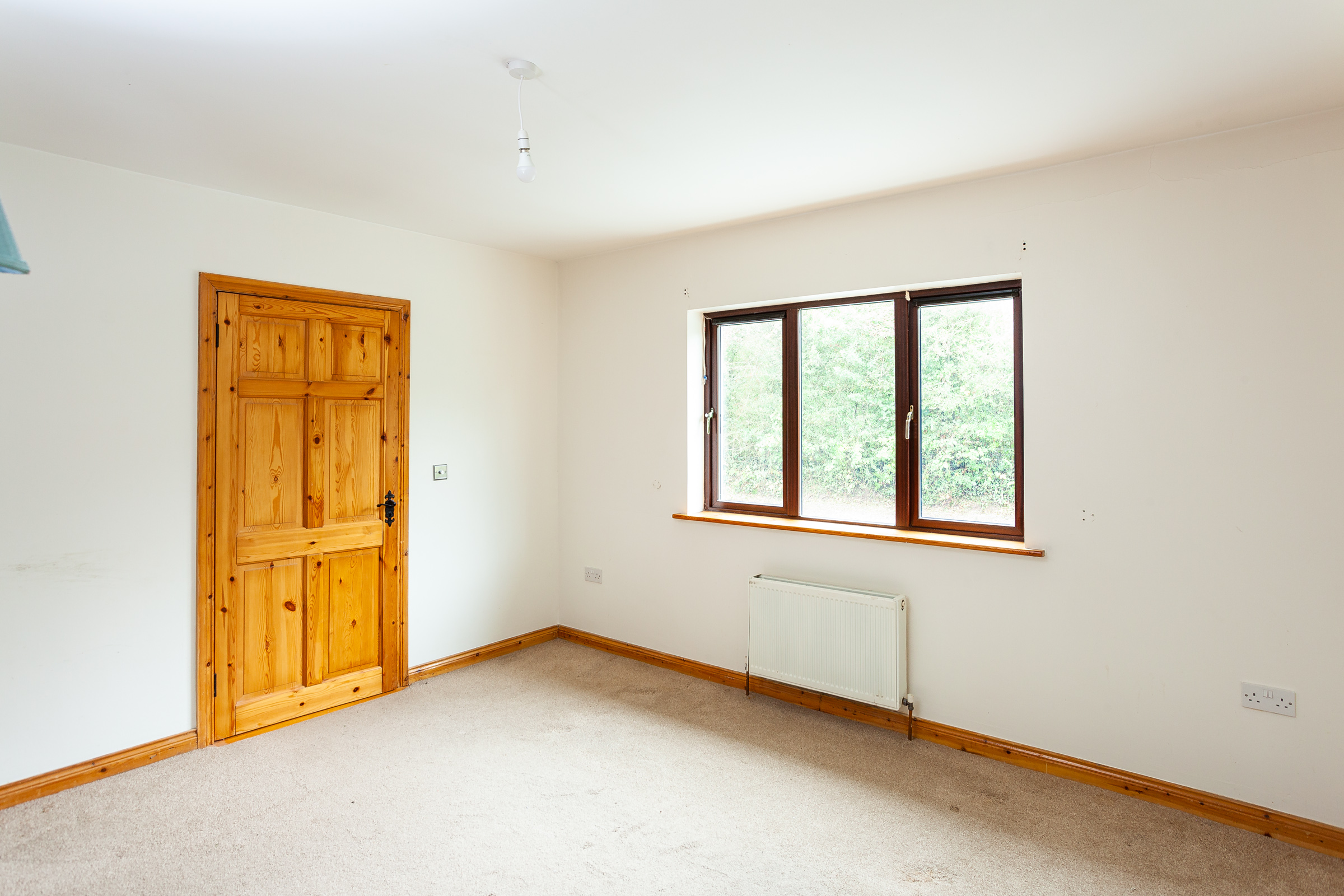 Photo: Niamh Whitty/www.pictureitsold.ie