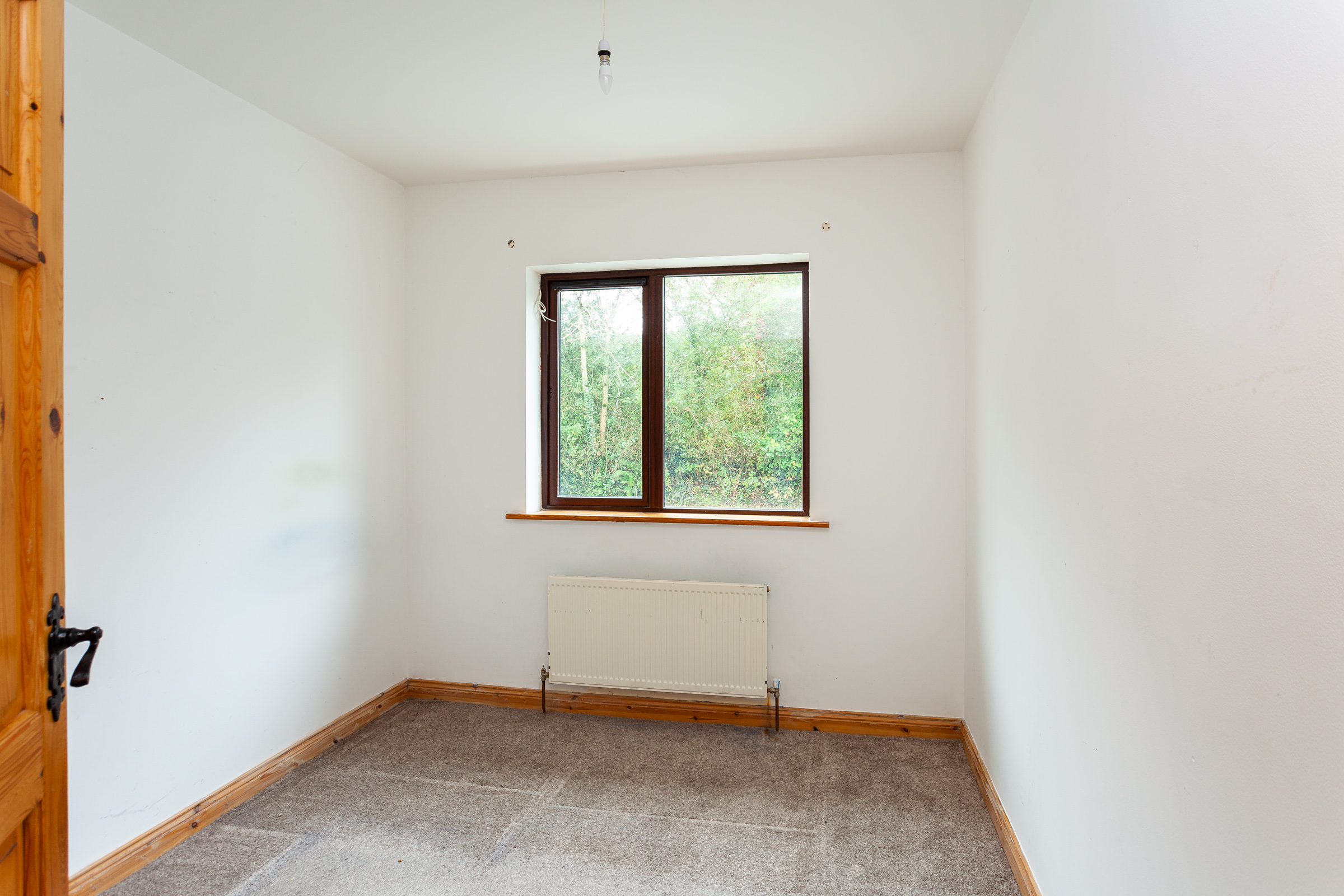 Photo: Niamh Whitty/www.pictureitsold.ie