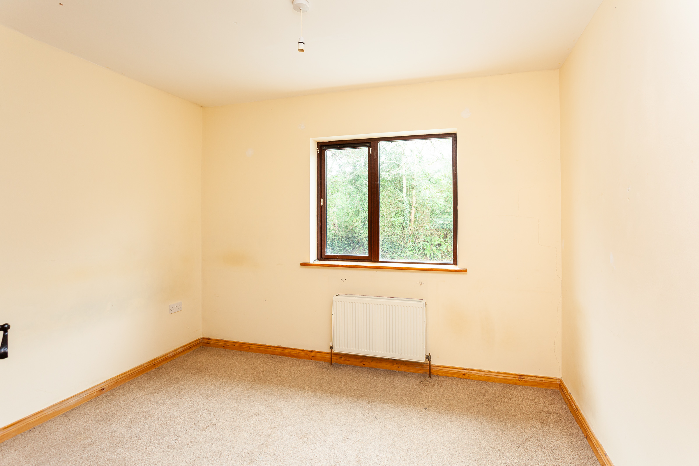 Photo: Niamh Whitty/www.pictureitsold.ie