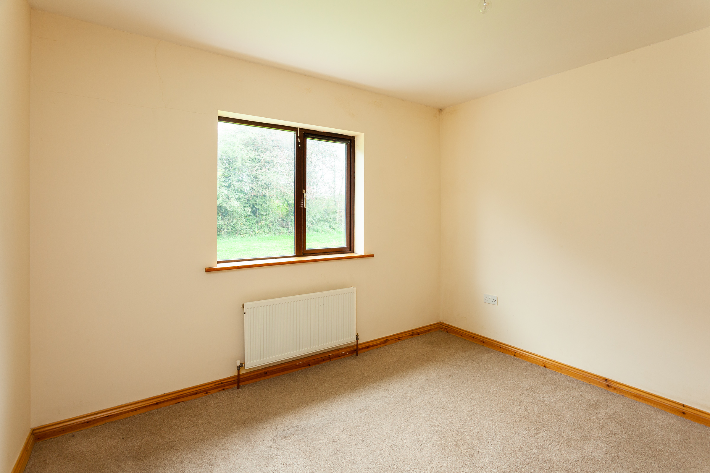 Photo: Niamh Whitty/www.pictureitsold.ie