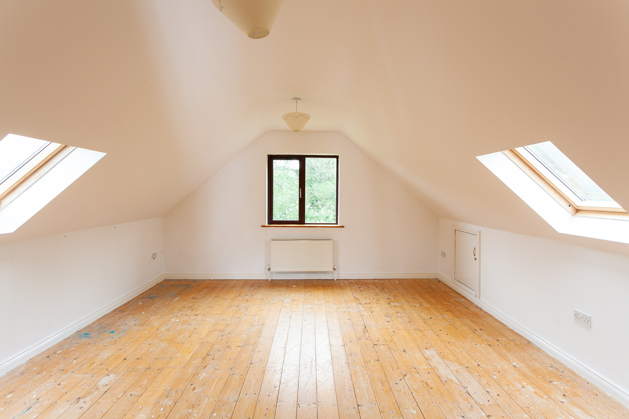 Photo: Niamh Whitty/www.pictureitsold.ie