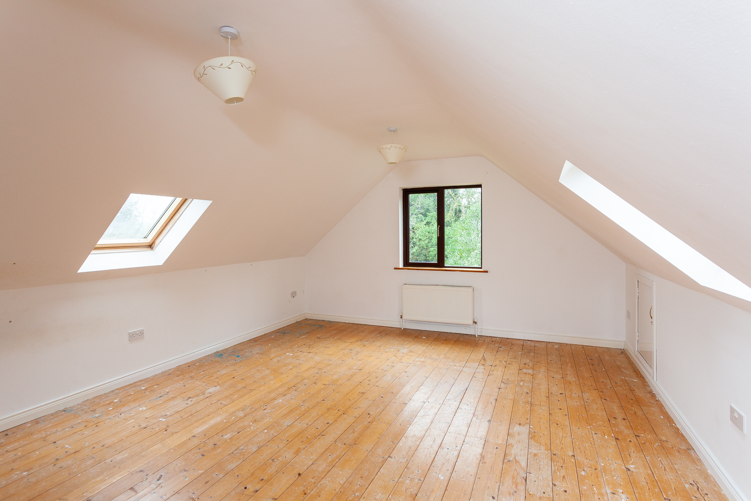 Photo: Niamh Whitty/www.pictureitsold.ie