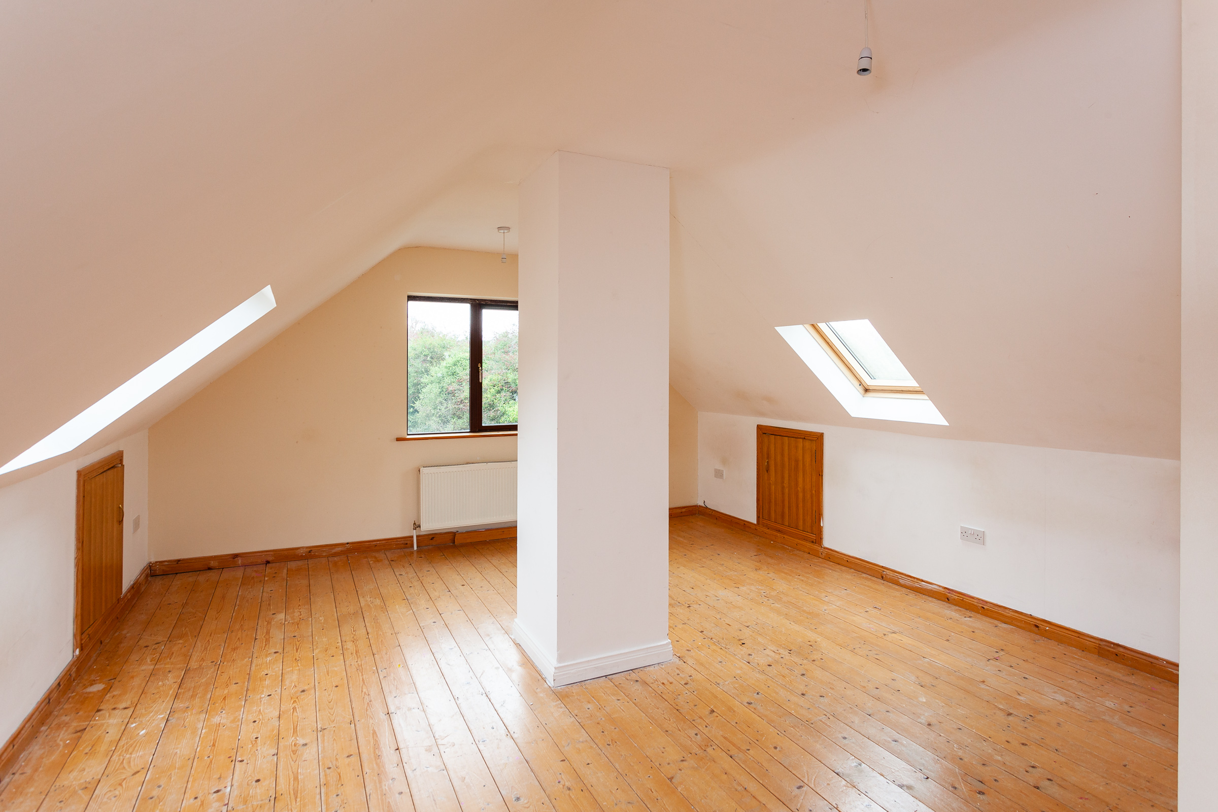 Photo: Niamh Whitty/www.pictureitsold.ie