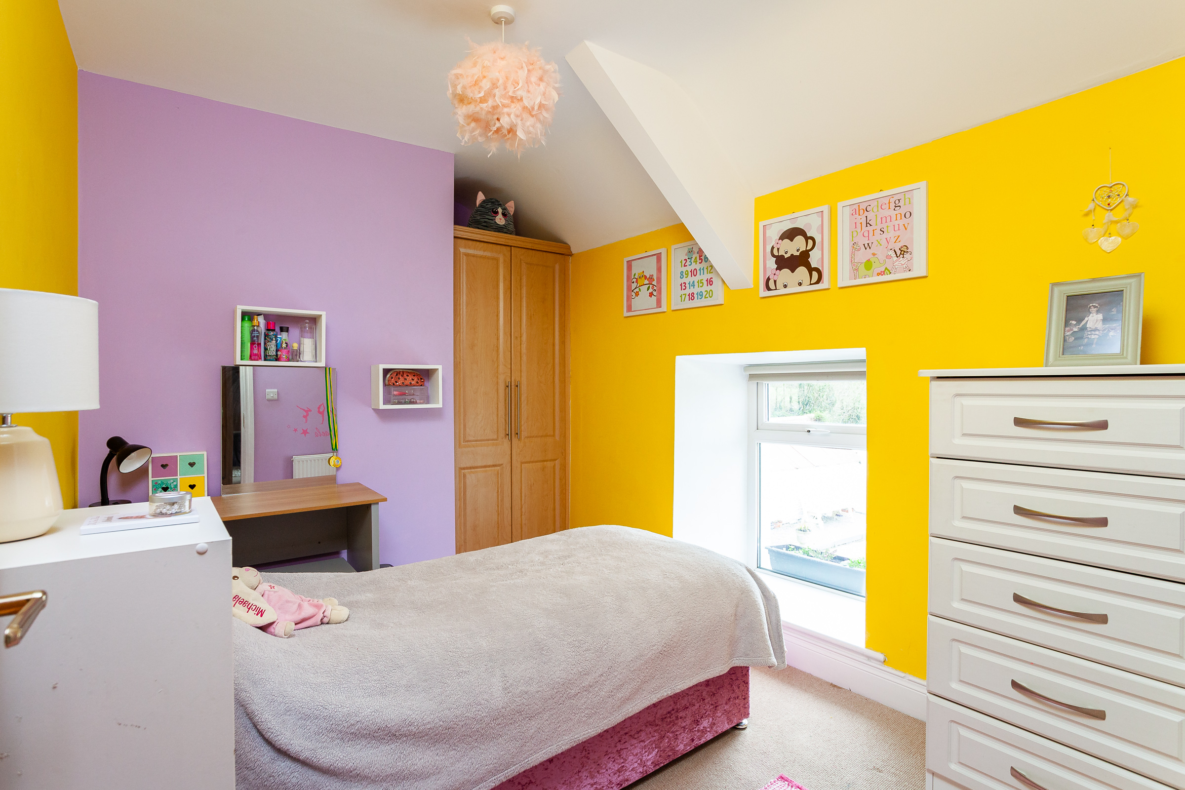 Photo: Niamh Whitty/www.pictureitsold.ie