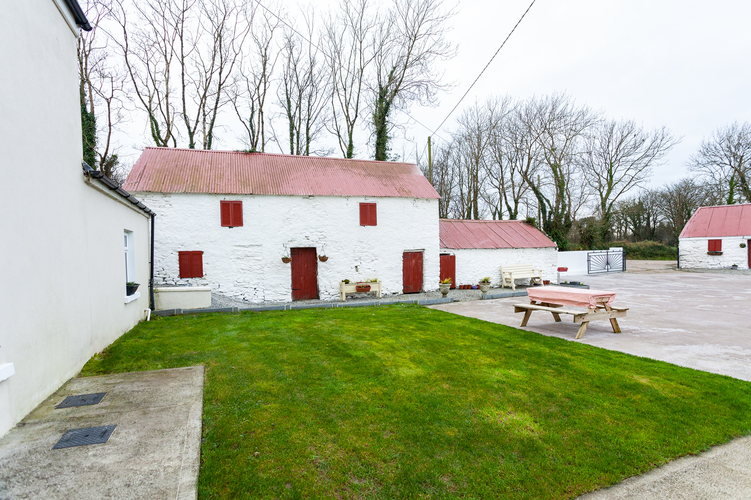 Photo: Niamh Whitty/www.pictureitsold.ie