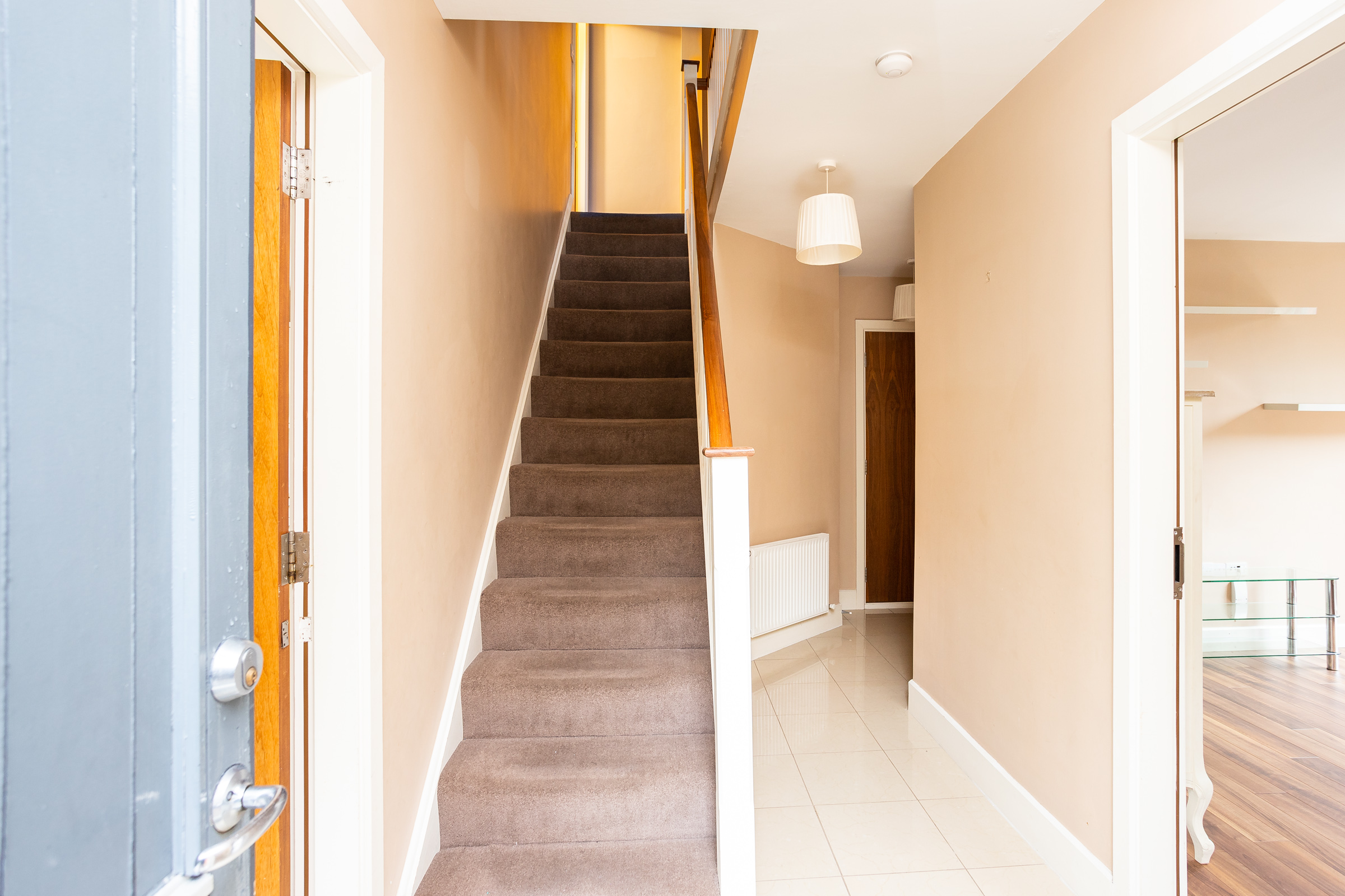 Photo: Niamh Whitty/www.pictureitsold.ie