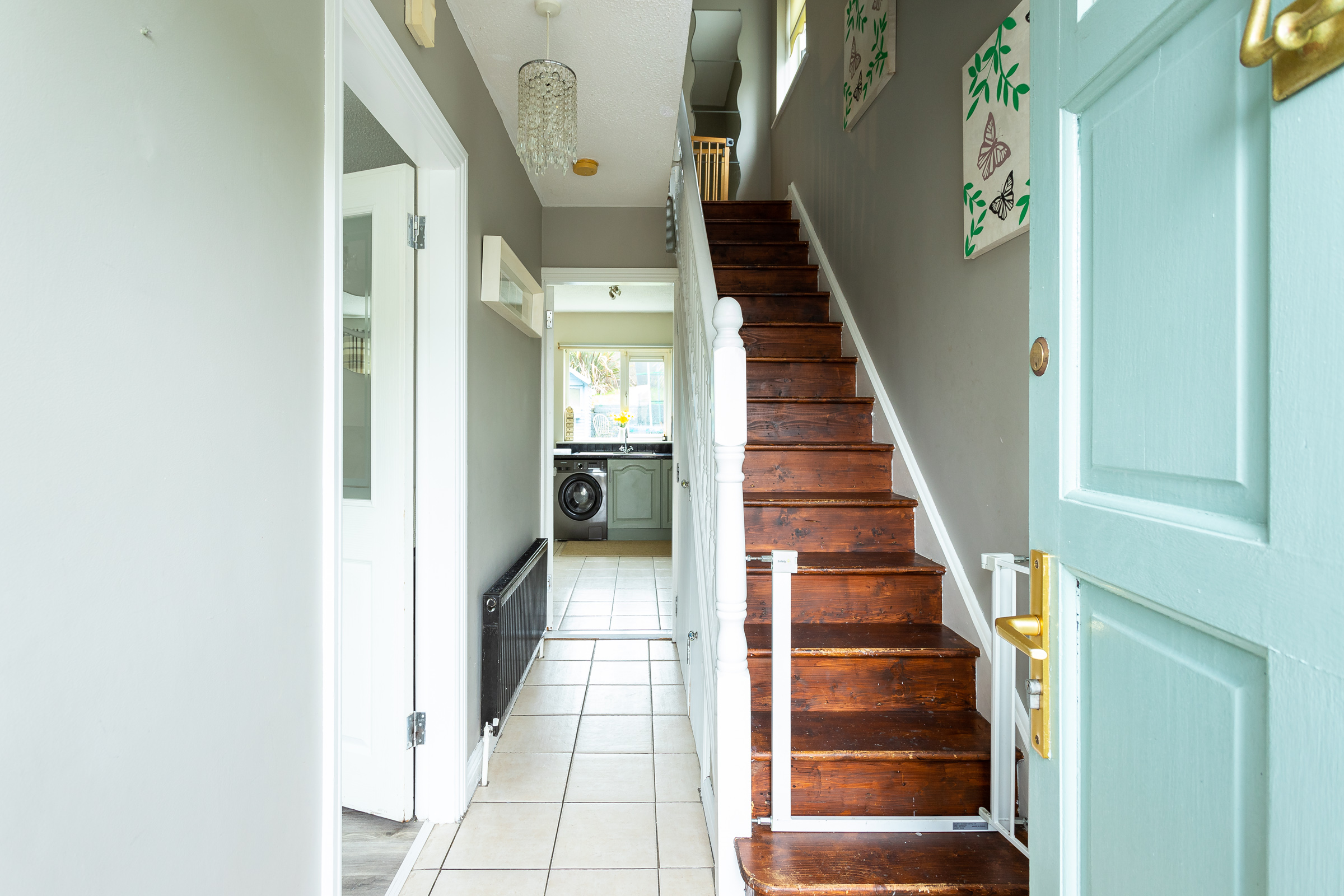 Photo: Niamh Whitty/www.pictureitsold.ie