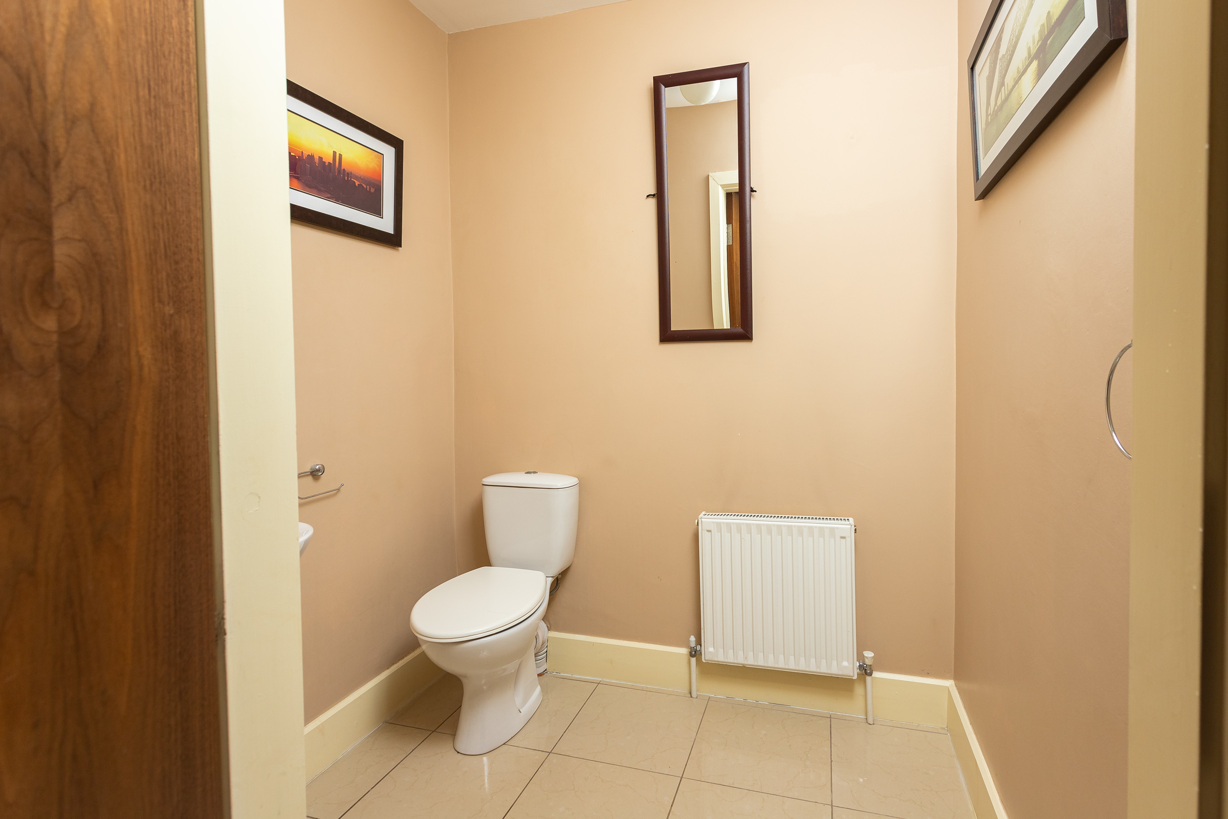 Photo: Niamh Whitty/www.pictureitsold.ie