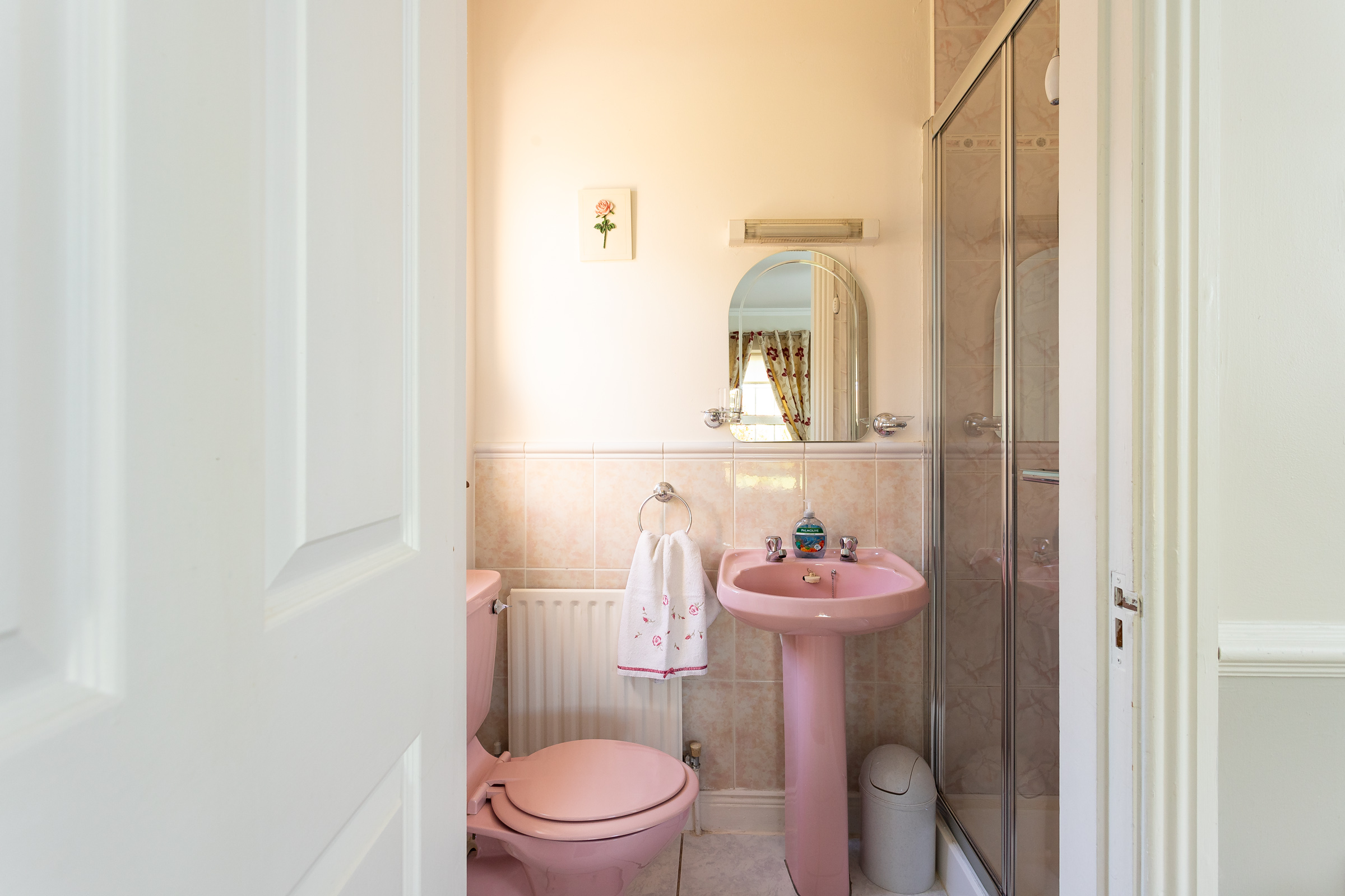 Photo: Niamh Whitty/www.pictureitsold.ie