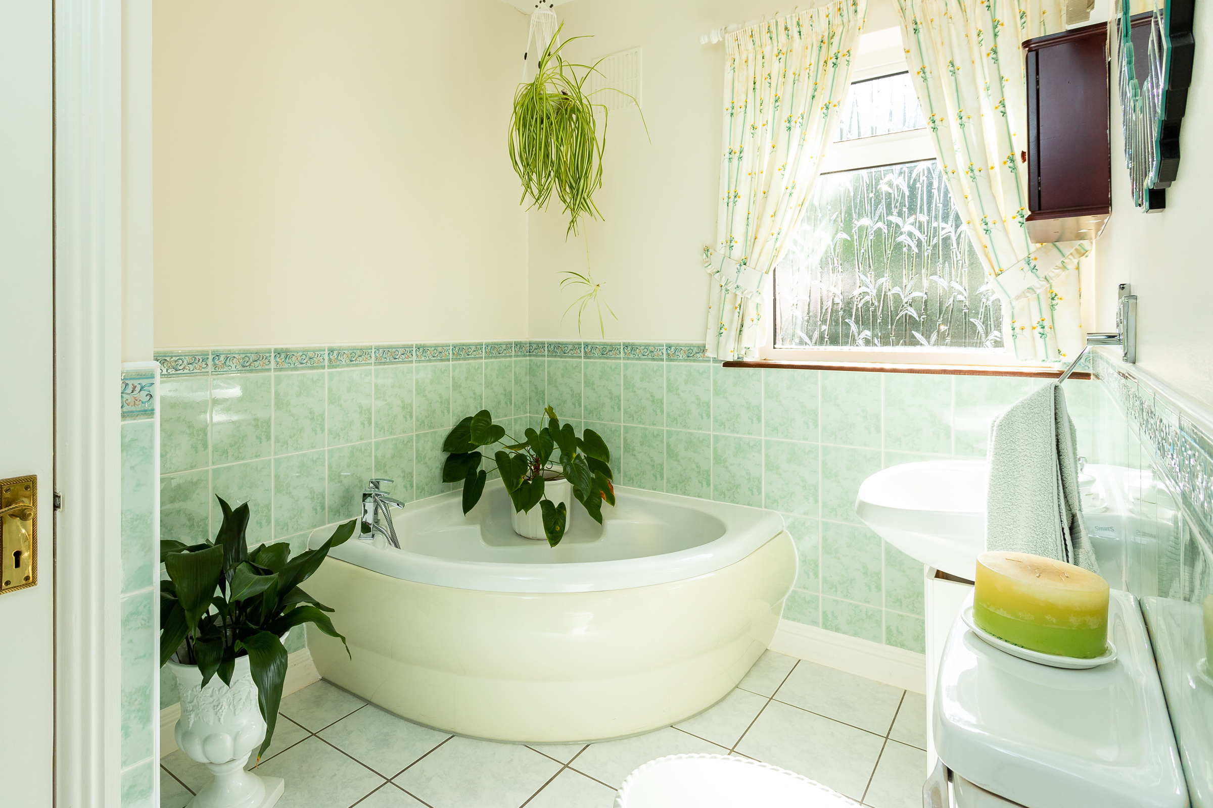 Photo: Niamh Whitty/www.pictureitsold.ie