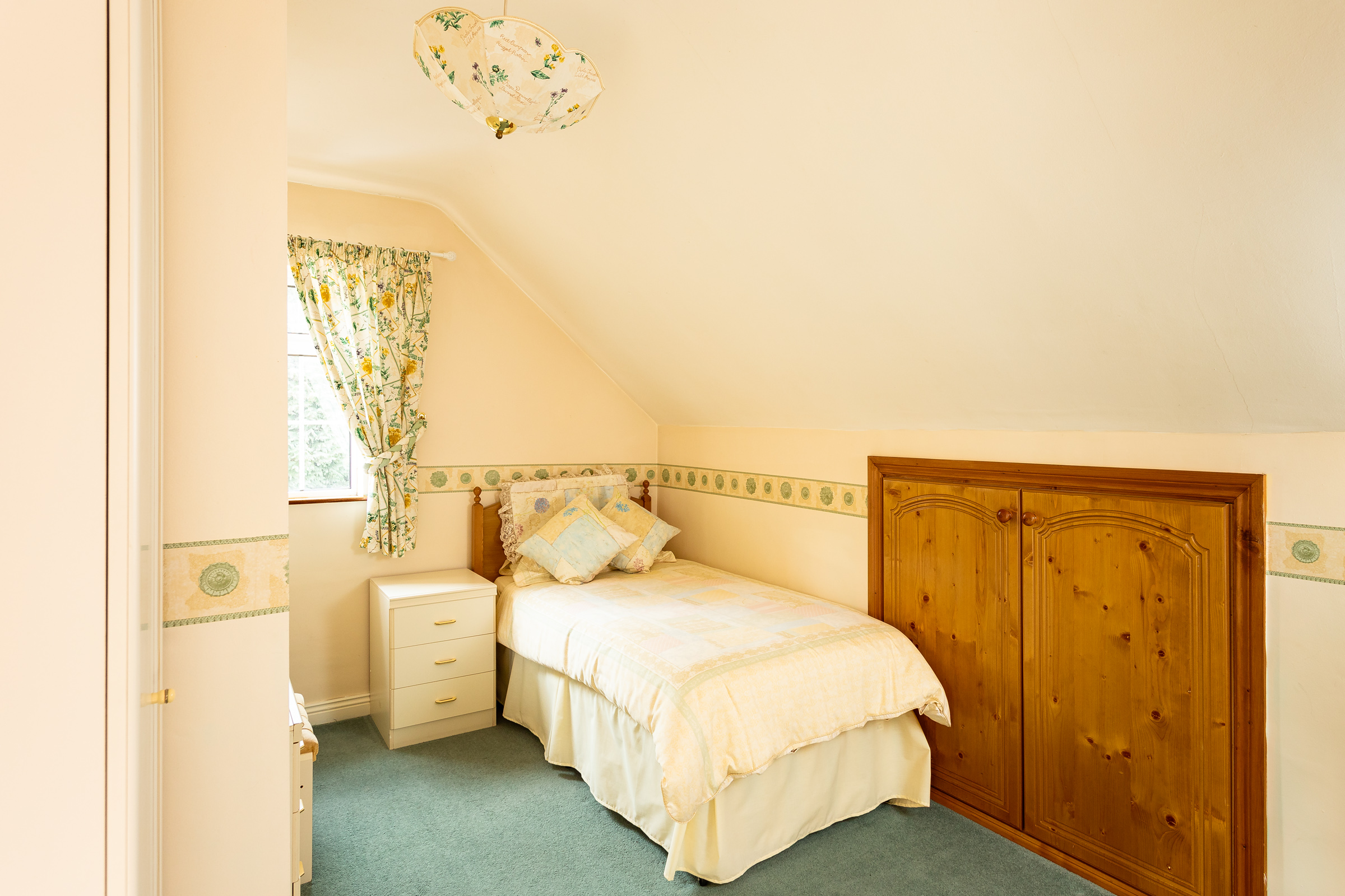 Photo: Niamh Whitty/www.pictureitsold.ie