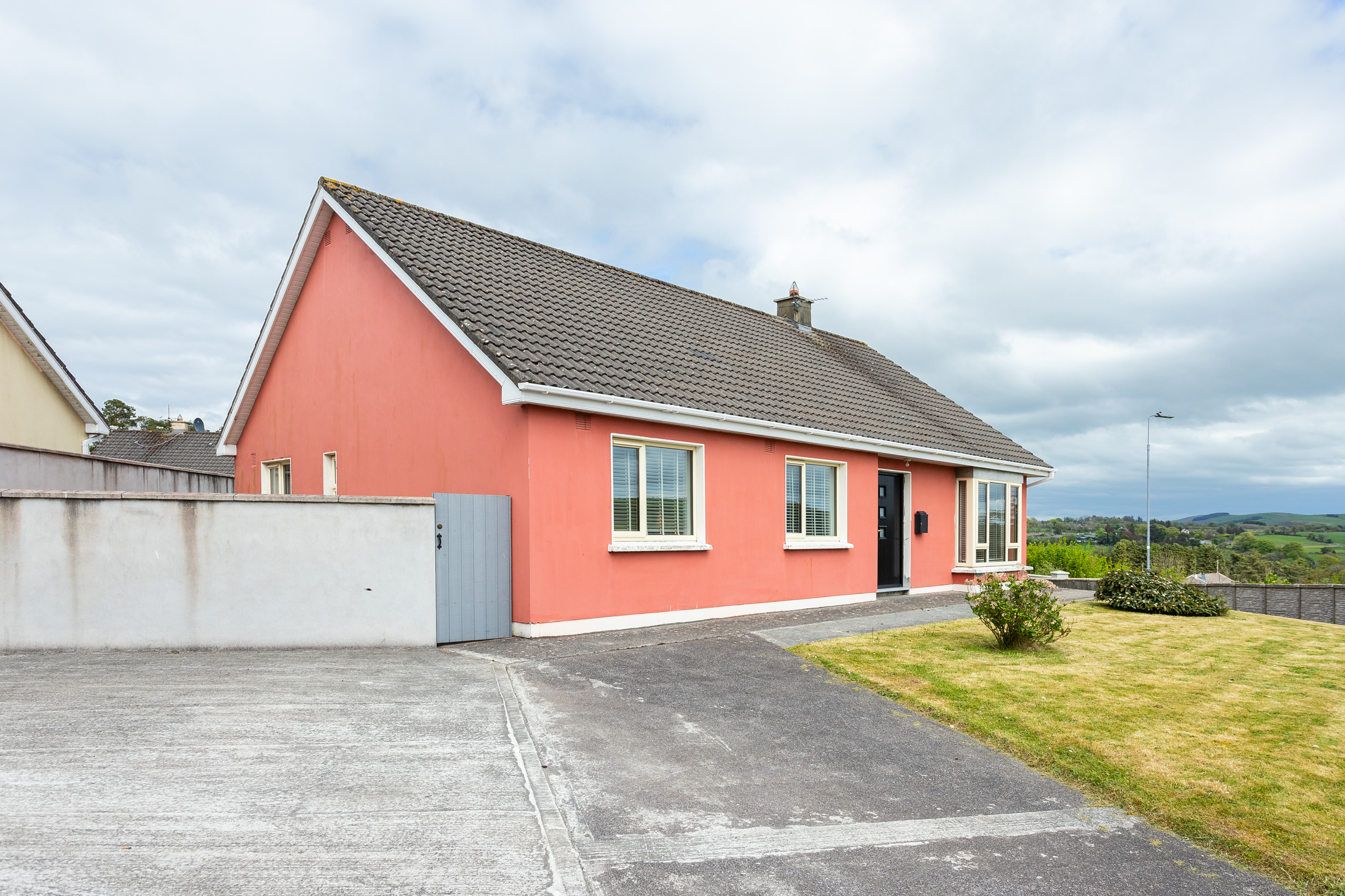 Photo: Niamh Whitty/www.pictureitsold.ie