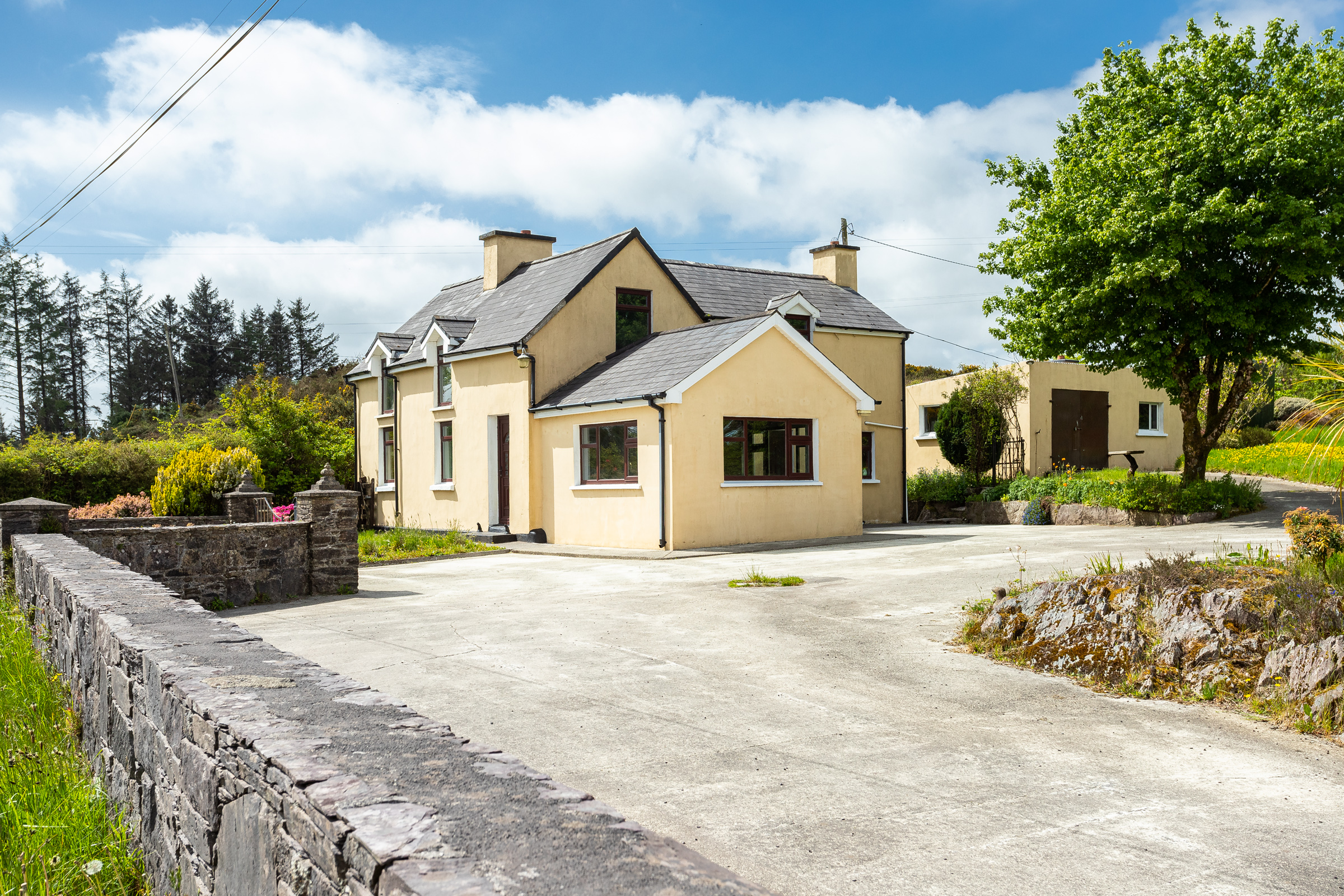 Photo: Niamh Whitty/www.pictureitsold.ie