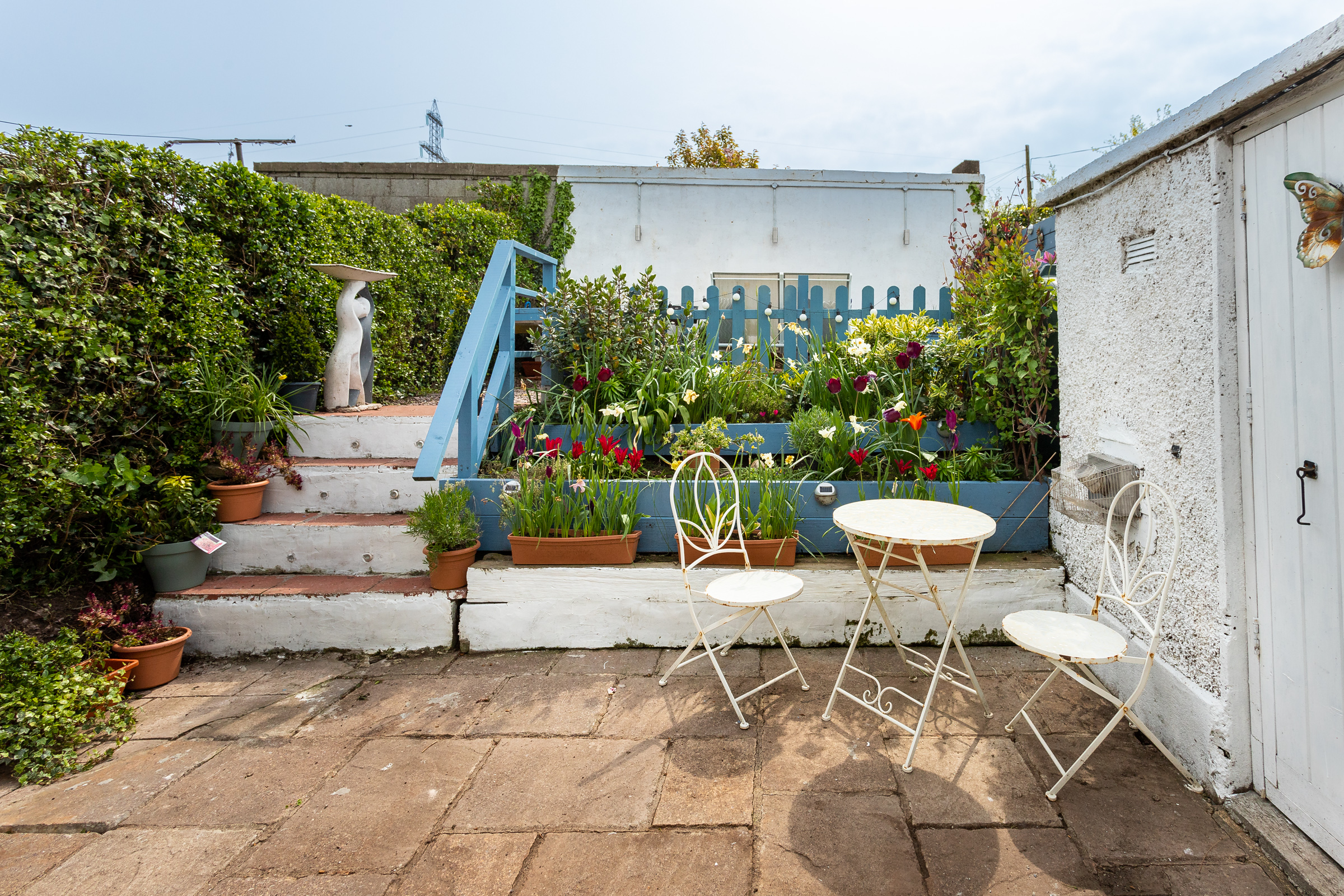 Photo: Niamh Whitty/www.pictureitsold.ie