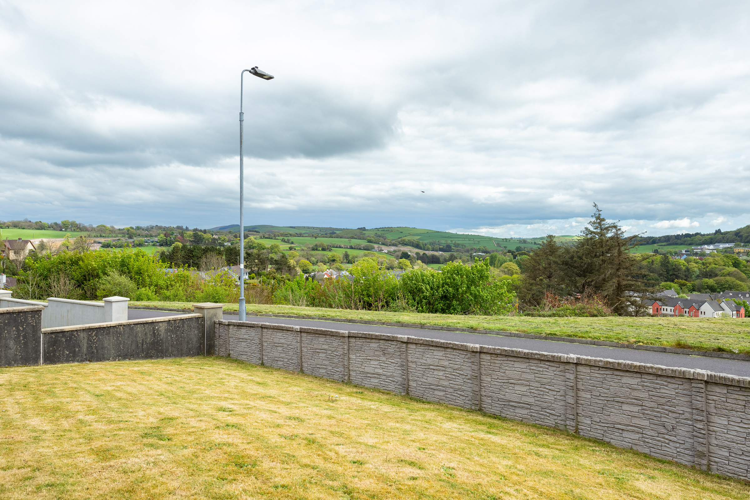 Photo: Niamh Whitty/www.pictureitsold.ie