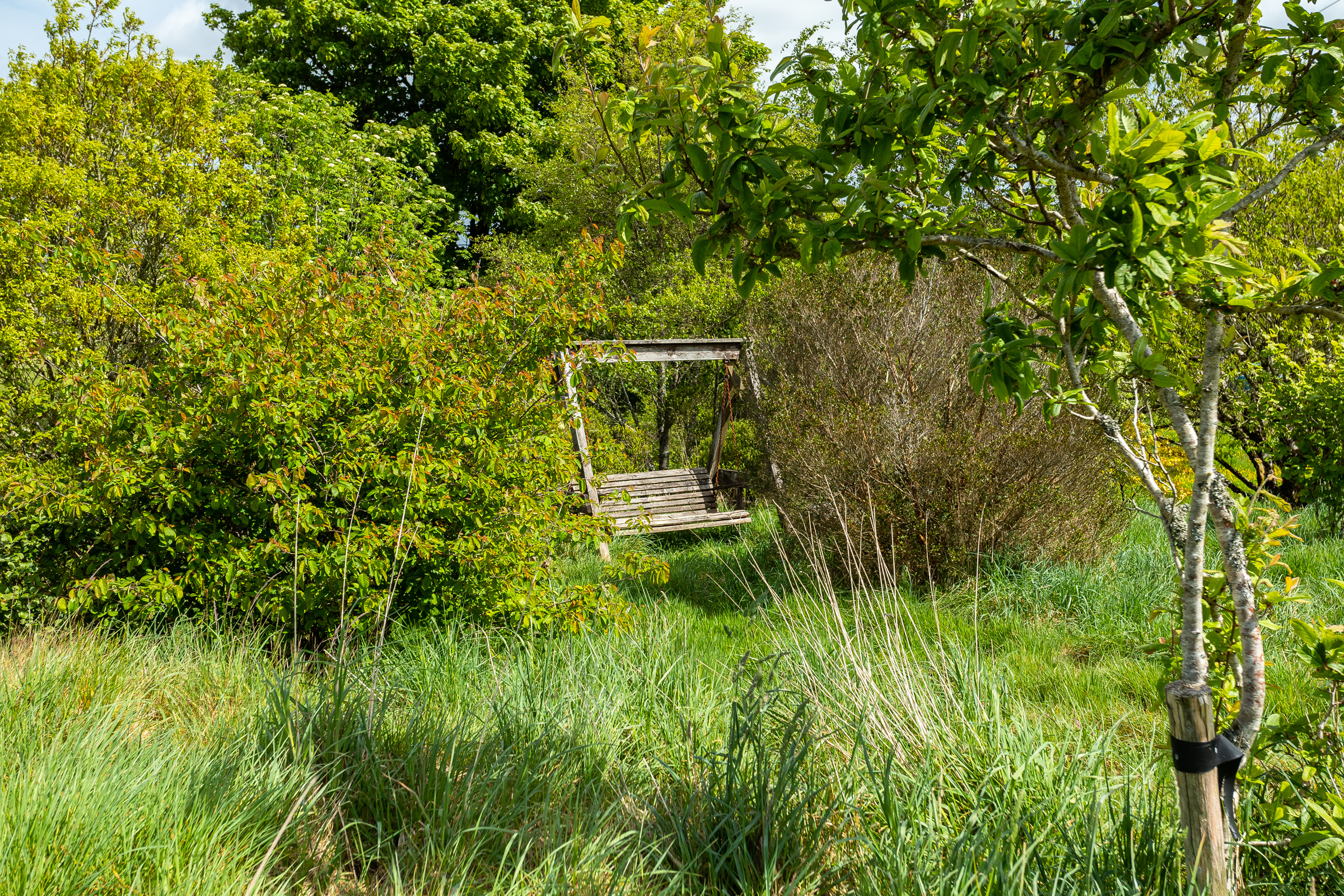Photo: Niamh Whitty/www.pictureitsold.ie