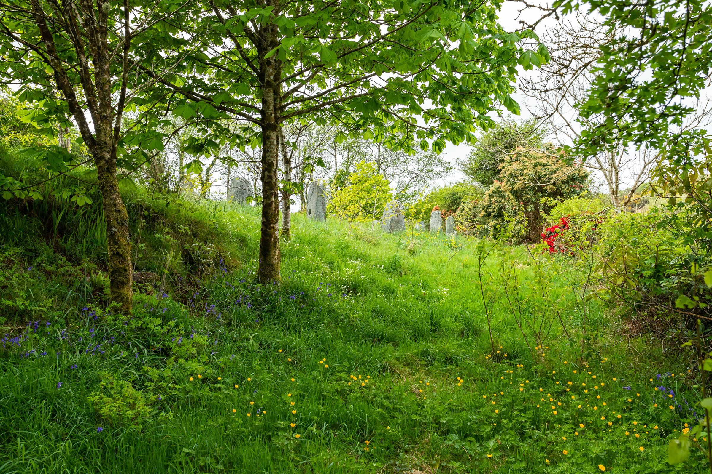 Photo: Niamh Whitty/www.pictureitsold.ie