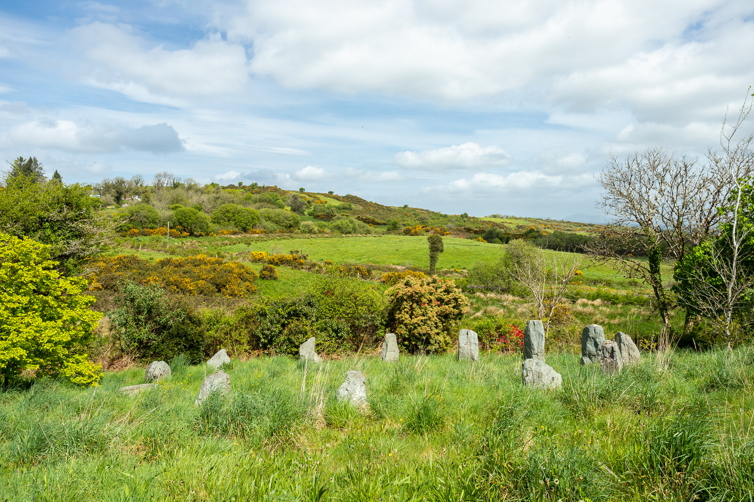 Photo: Niamh Whitty/www.pictureitsold.ie