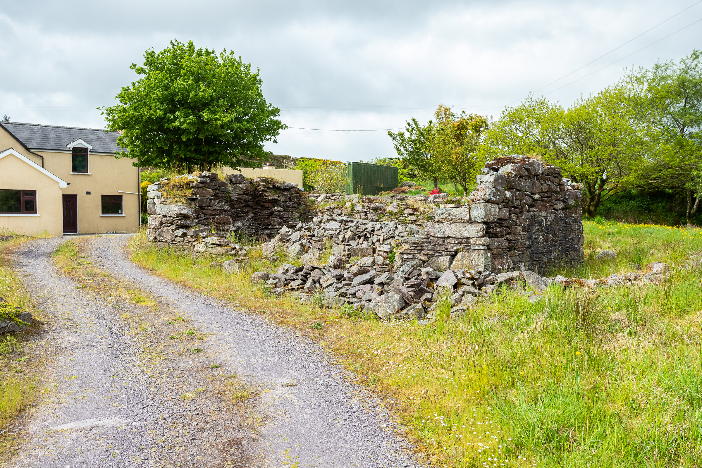Photo: Niamh Whitty/www.pictureitsold.ie