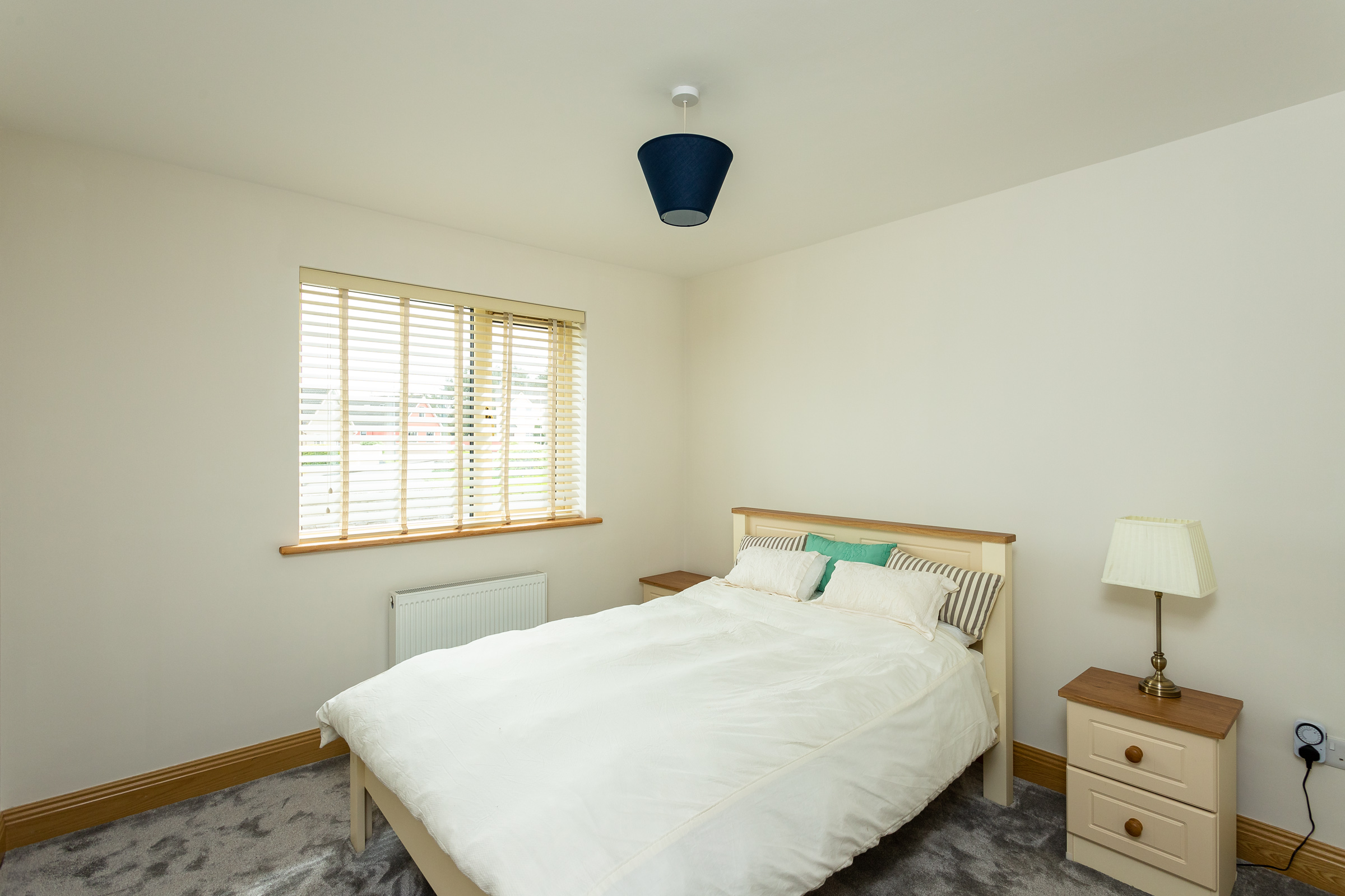 Photo: Niamh Whitty/www.pictureitsold.ie
