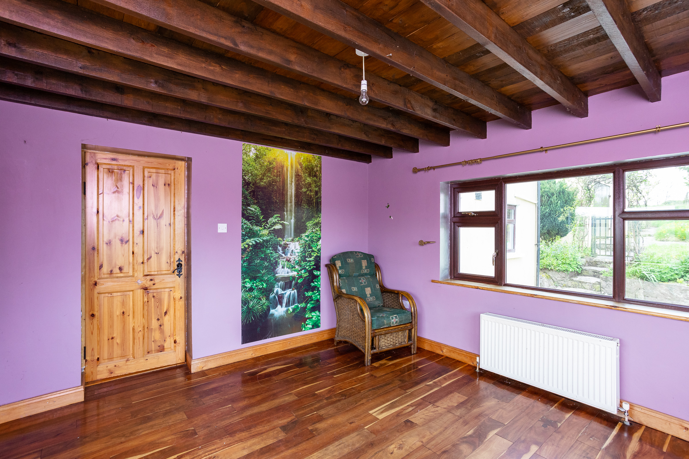 Photo: Niamh Whitty/www.pictureitsold.ie
