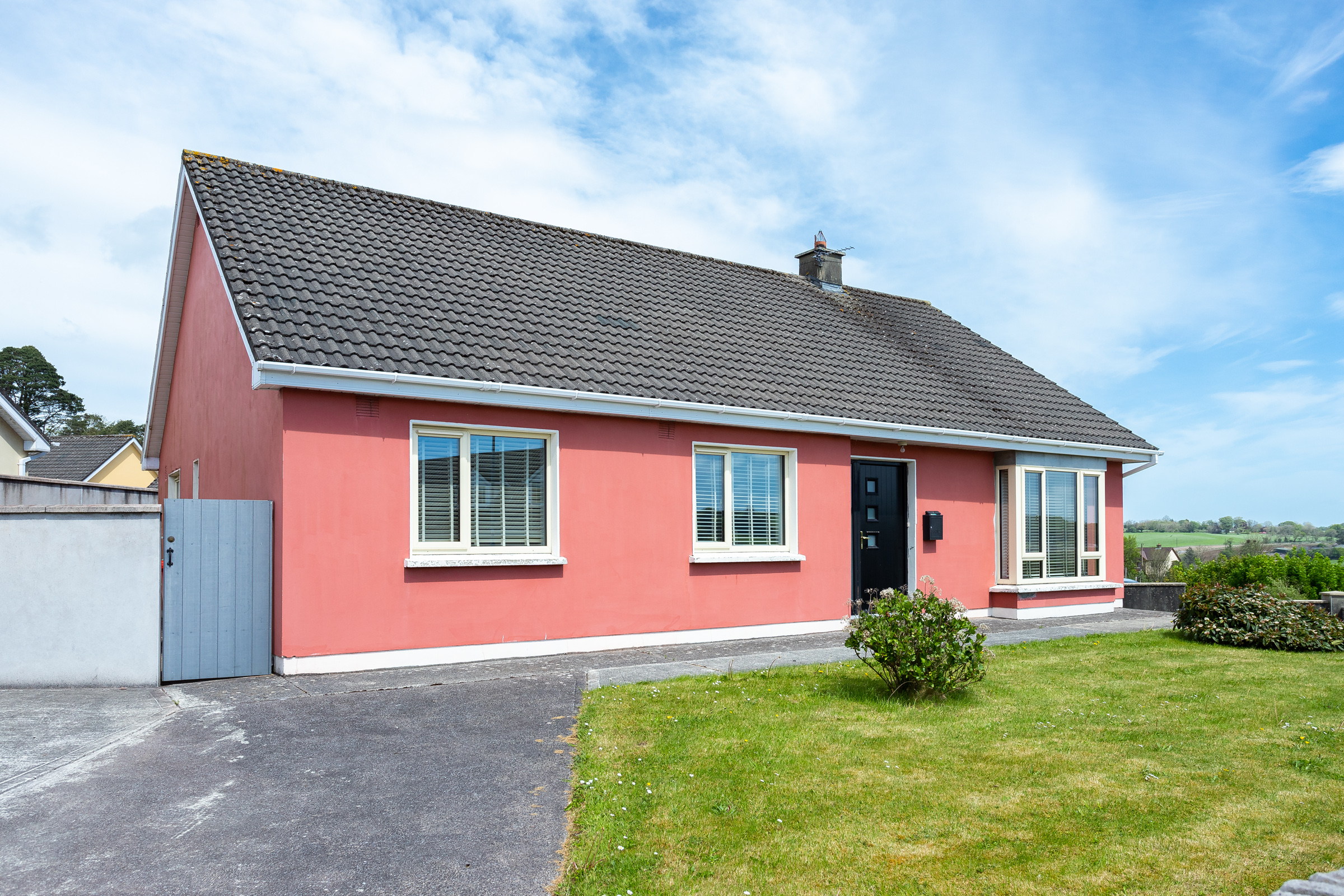 Photo: Niamh Whitty/www.pictureitsold.ie