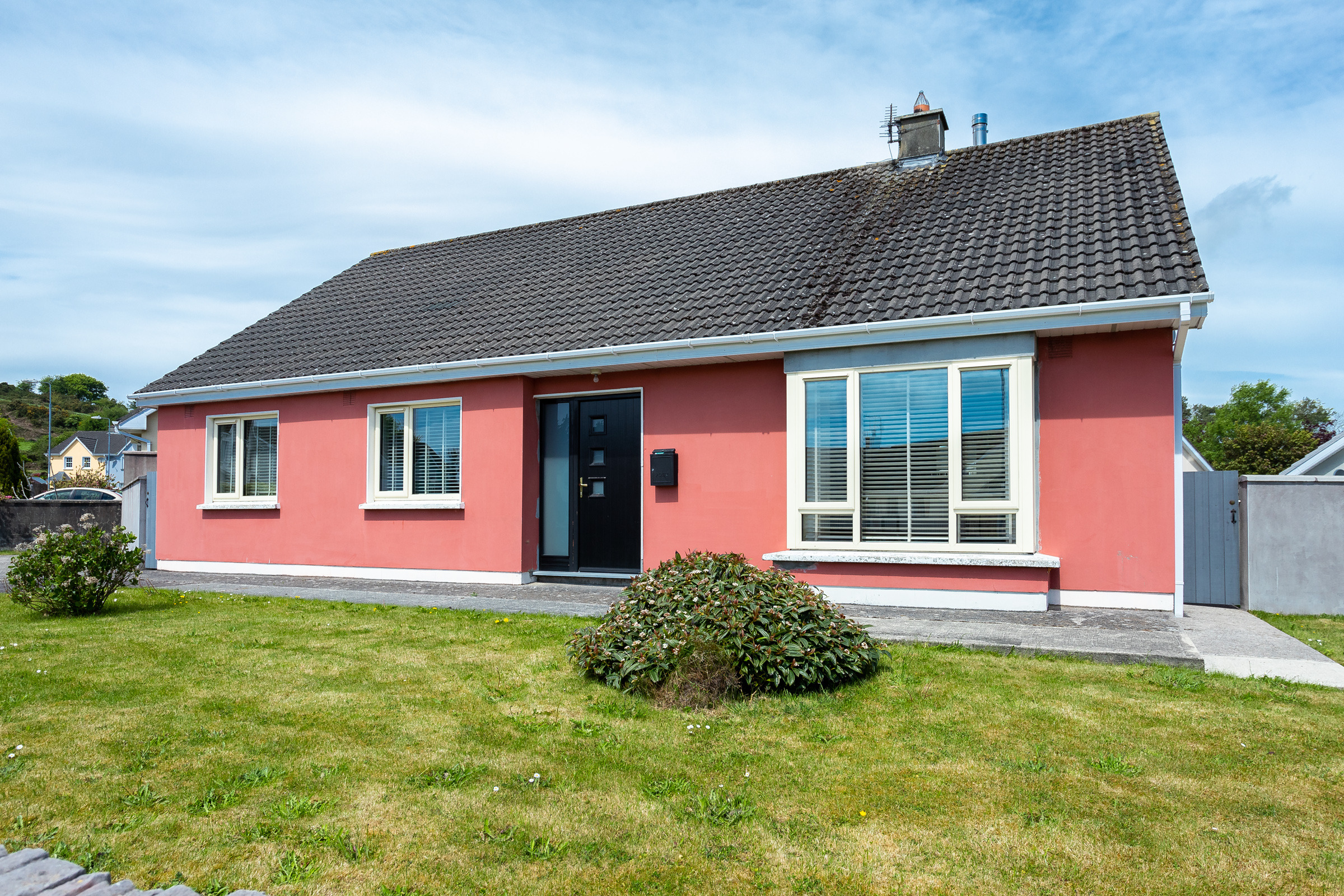 Photo: Niamh Whitty/www.pictureitsold.ie