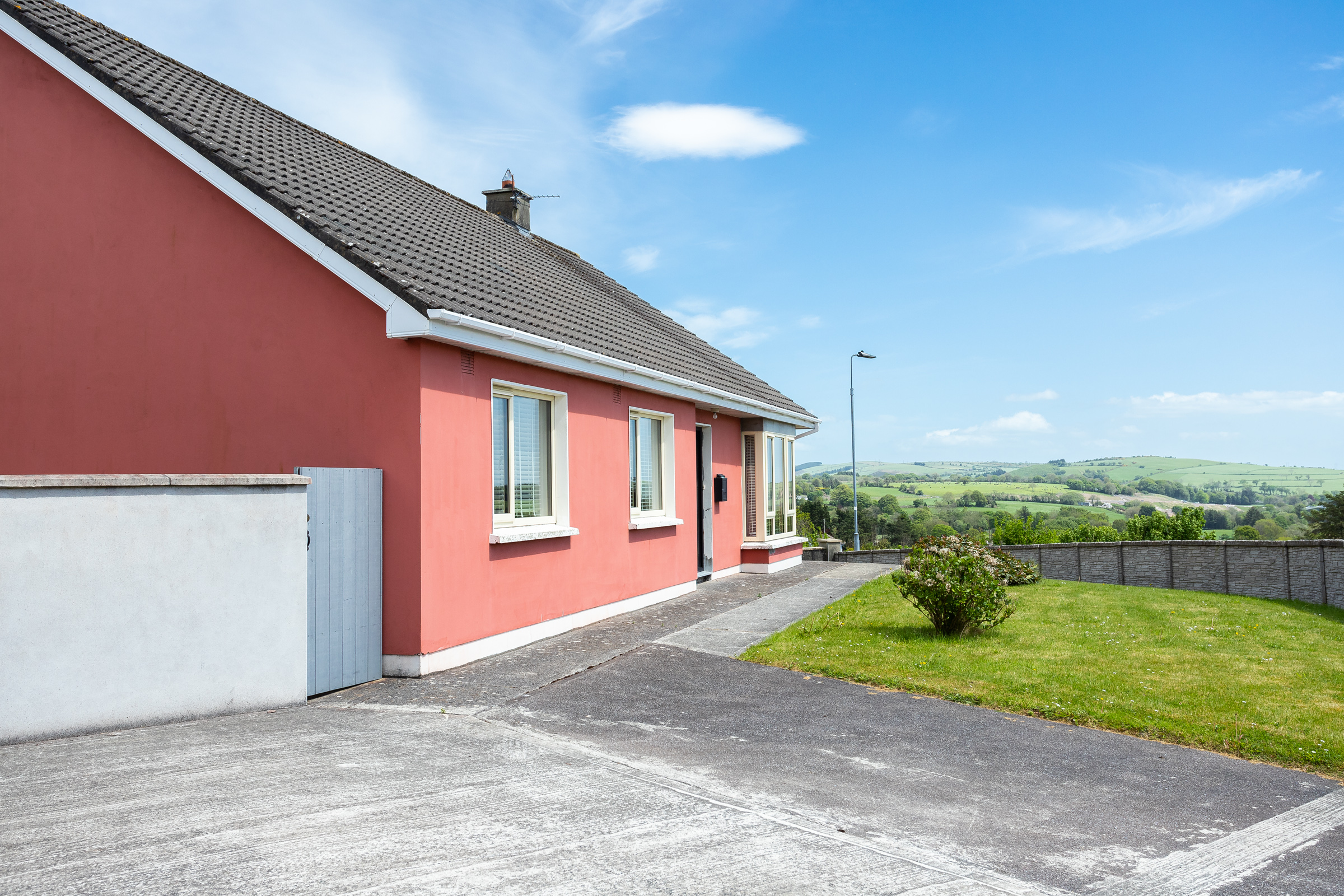 Photo: Niamh Whitty/www.pictureitsold.ie
