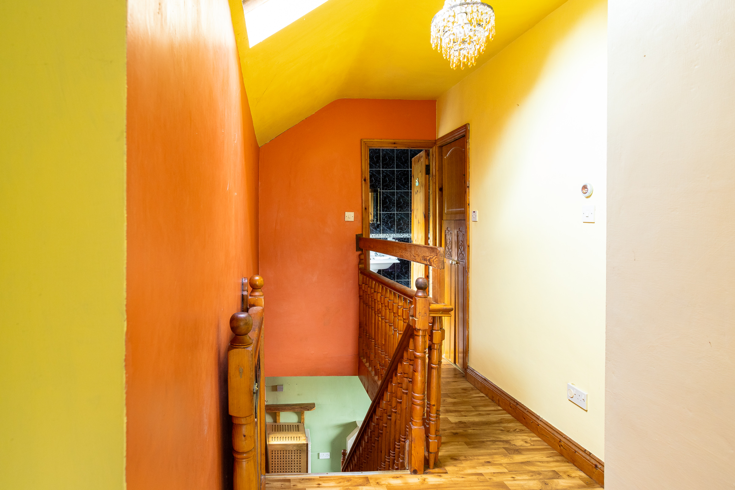 Photo: Niamh Whitty/www.pictureitsold.ie