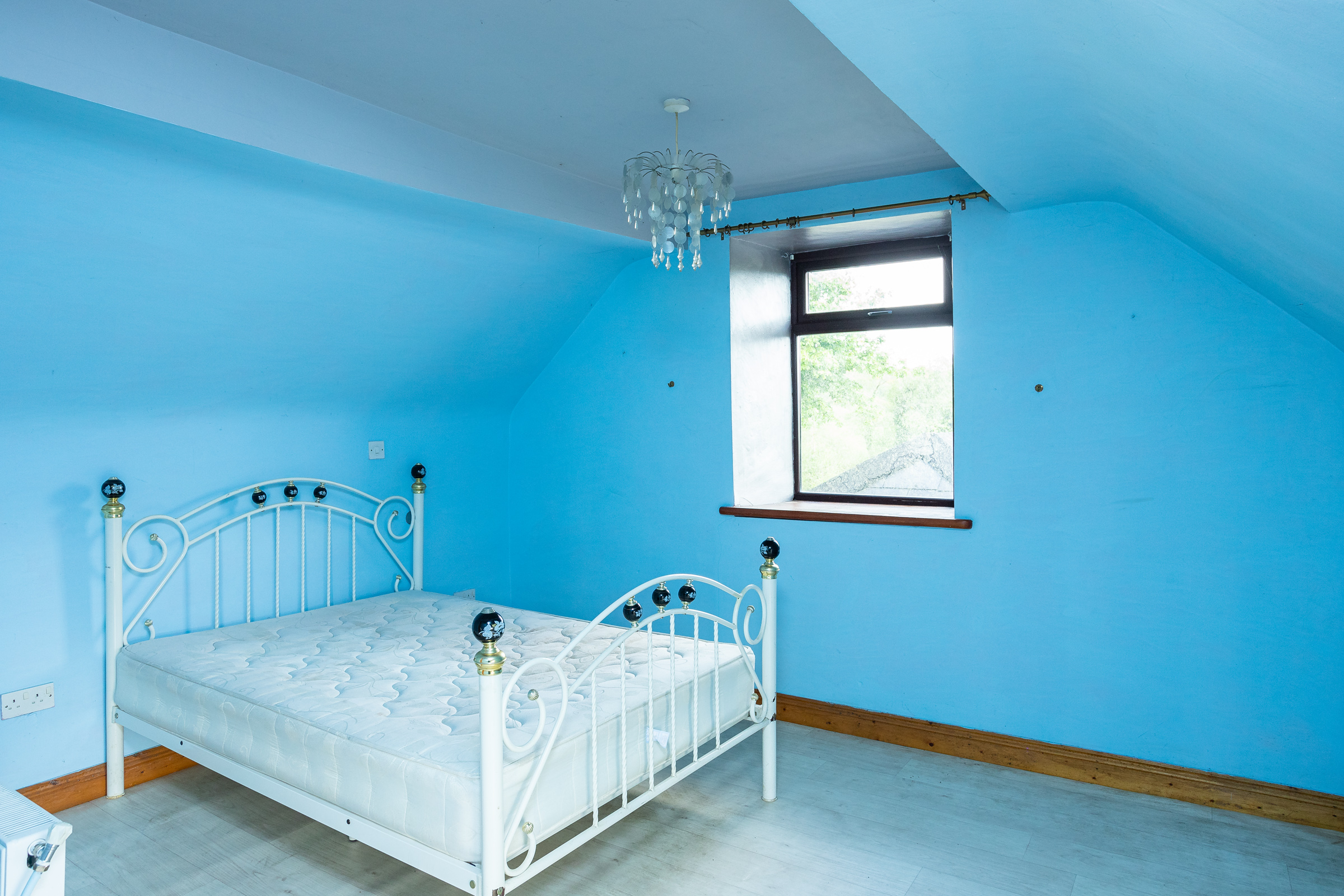 Photo: Niamh Whitty/www.pictureitsold.ie