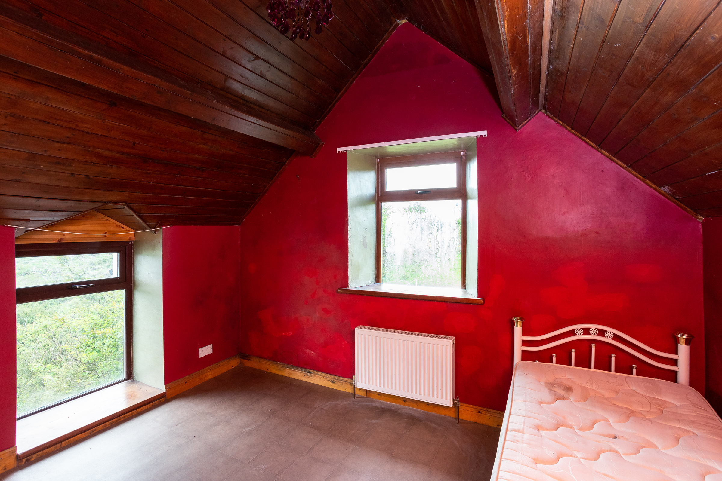 Photo: Niamh Whitty/www.pictureitsold.ie