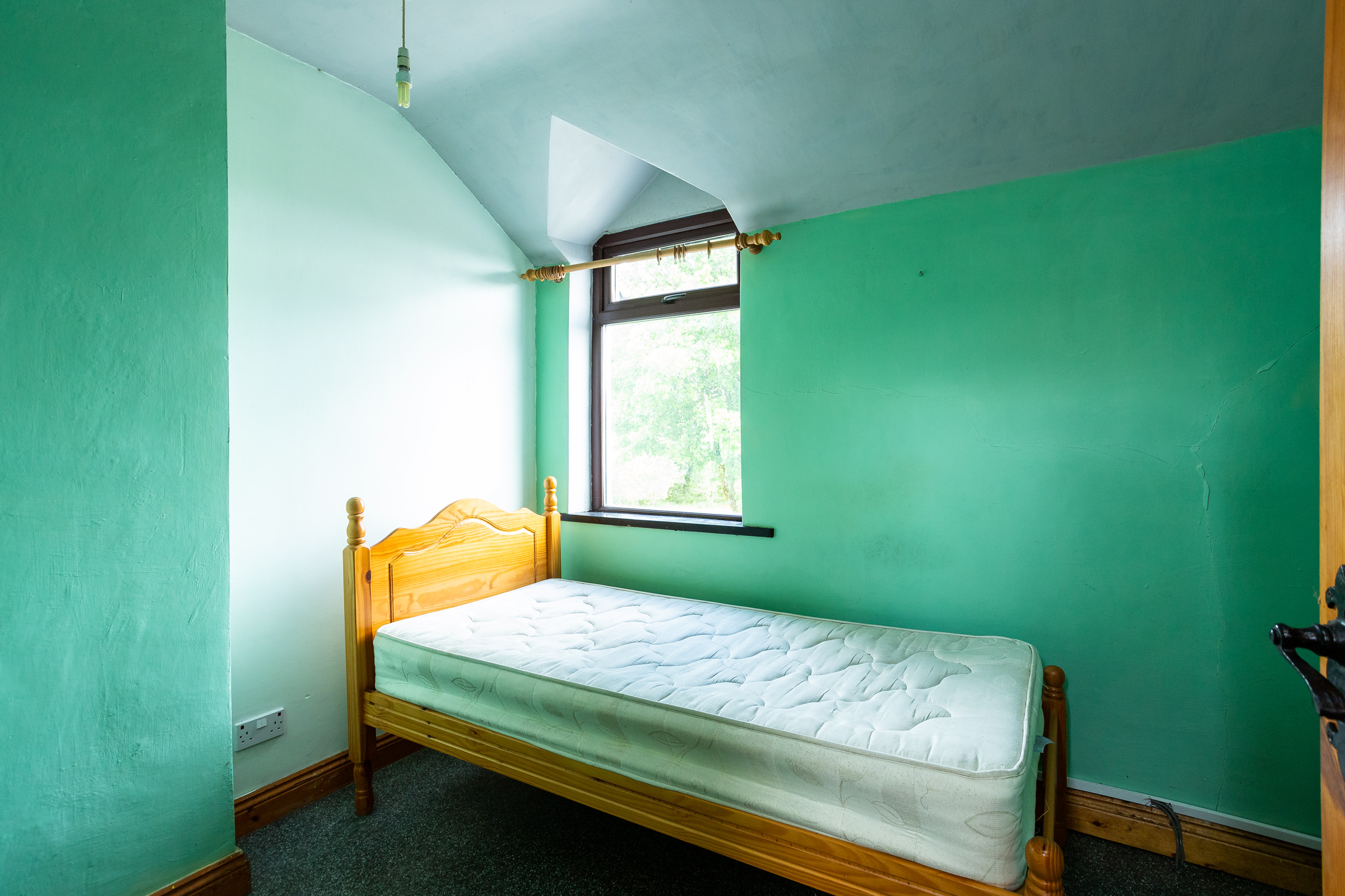 Photo: Niamh Whitty/www.pictureitsold.ie