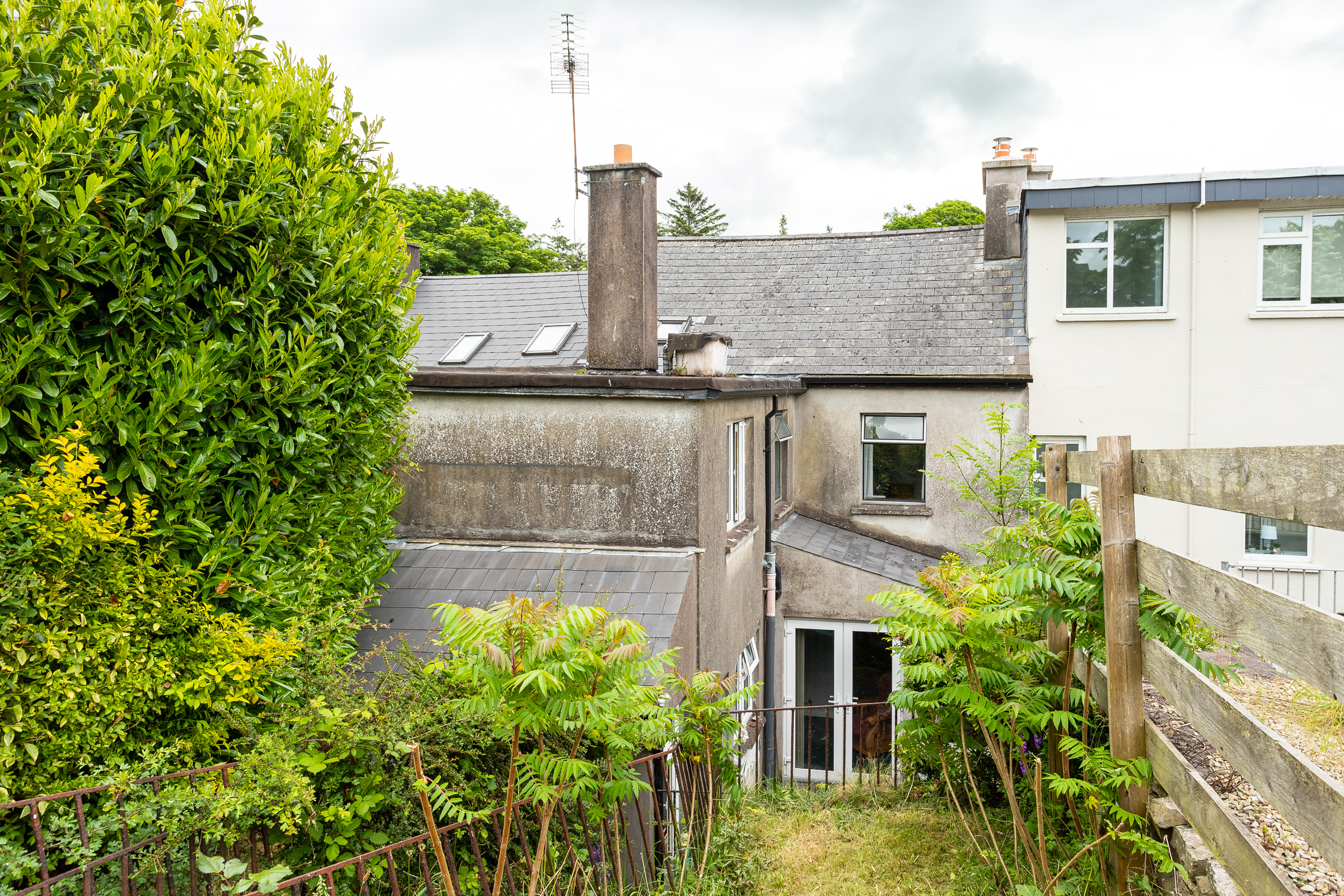 Photo: Niamh Whitty/www.pictureitsold.ie