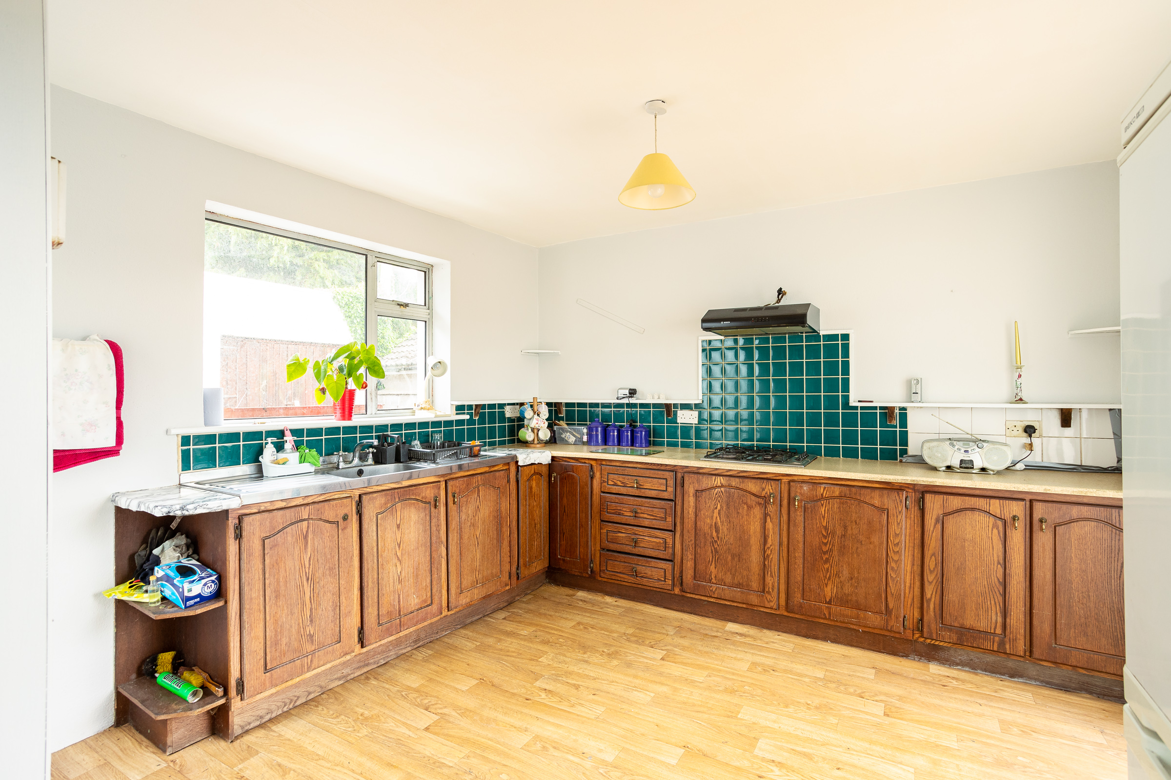Photo: Niamh Whitty/www.pictureitsold.ie