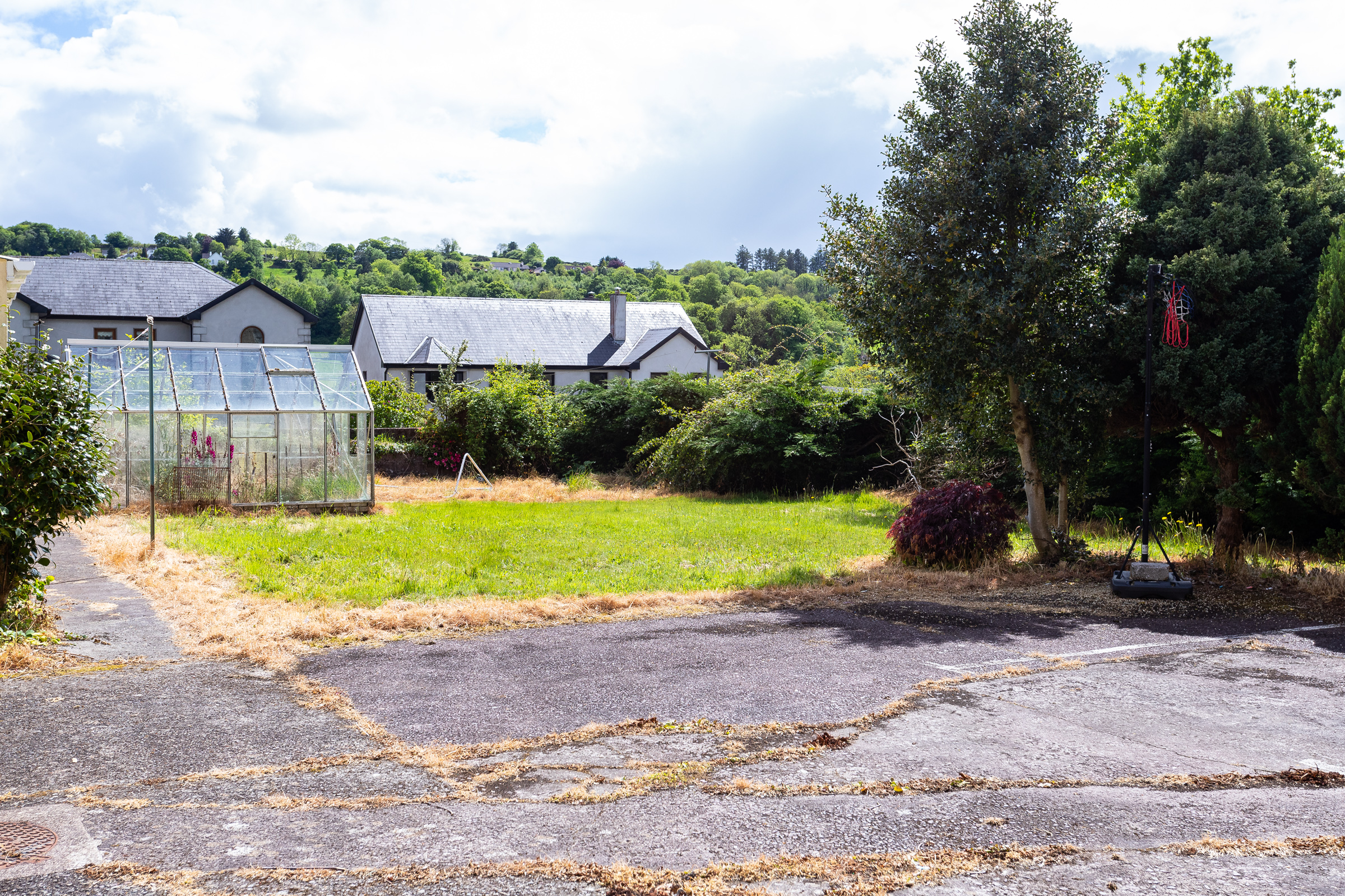 Photo: Niamh Whitty/www.pictureitsold.ie