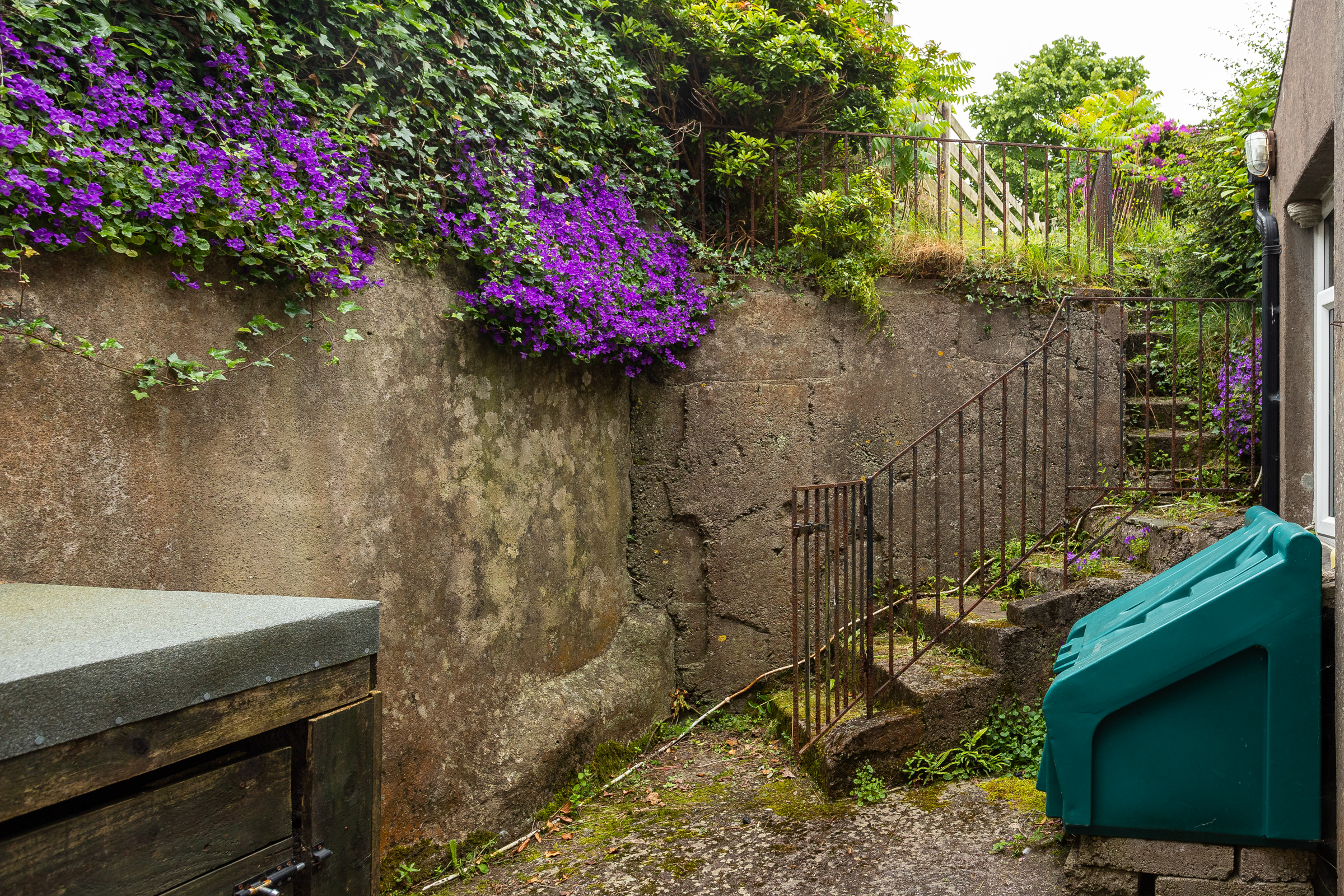 Photo: Niamh Whitty/www.pictureitsold.ie