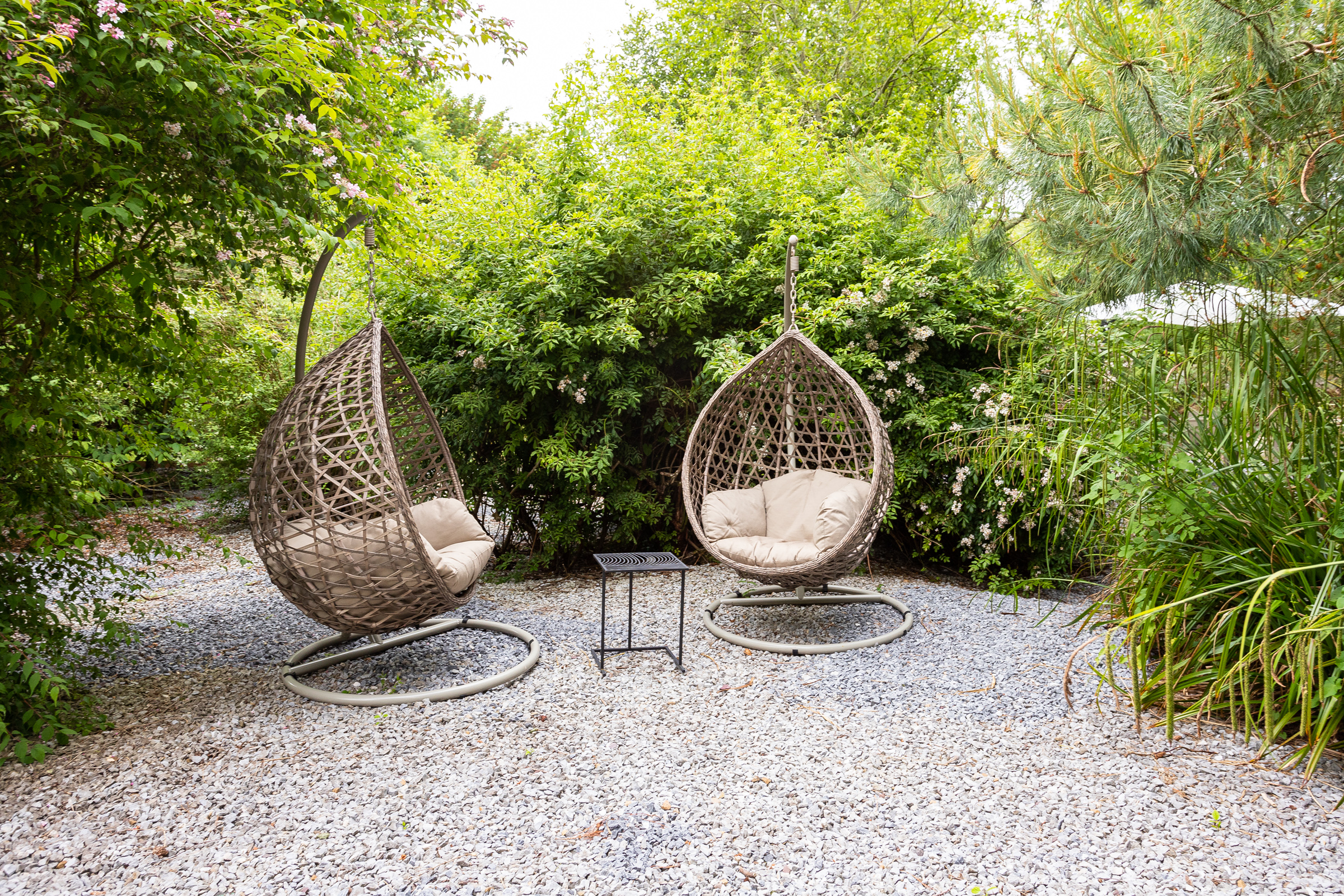 Photo: Niamh Whitty/www.pictureitsold.ie