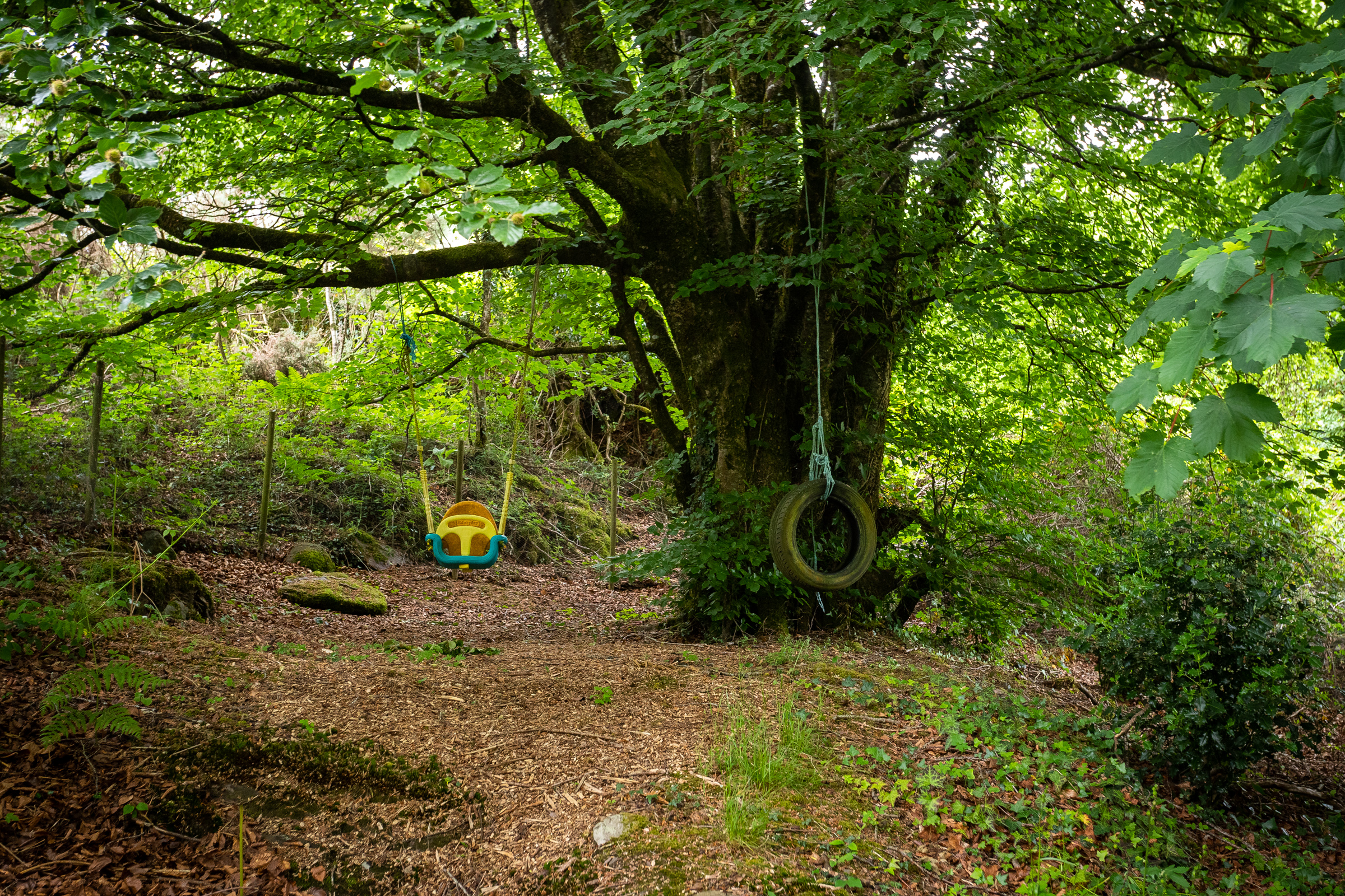 Photo: Niamh Whitty/www.pictureitsold.ie