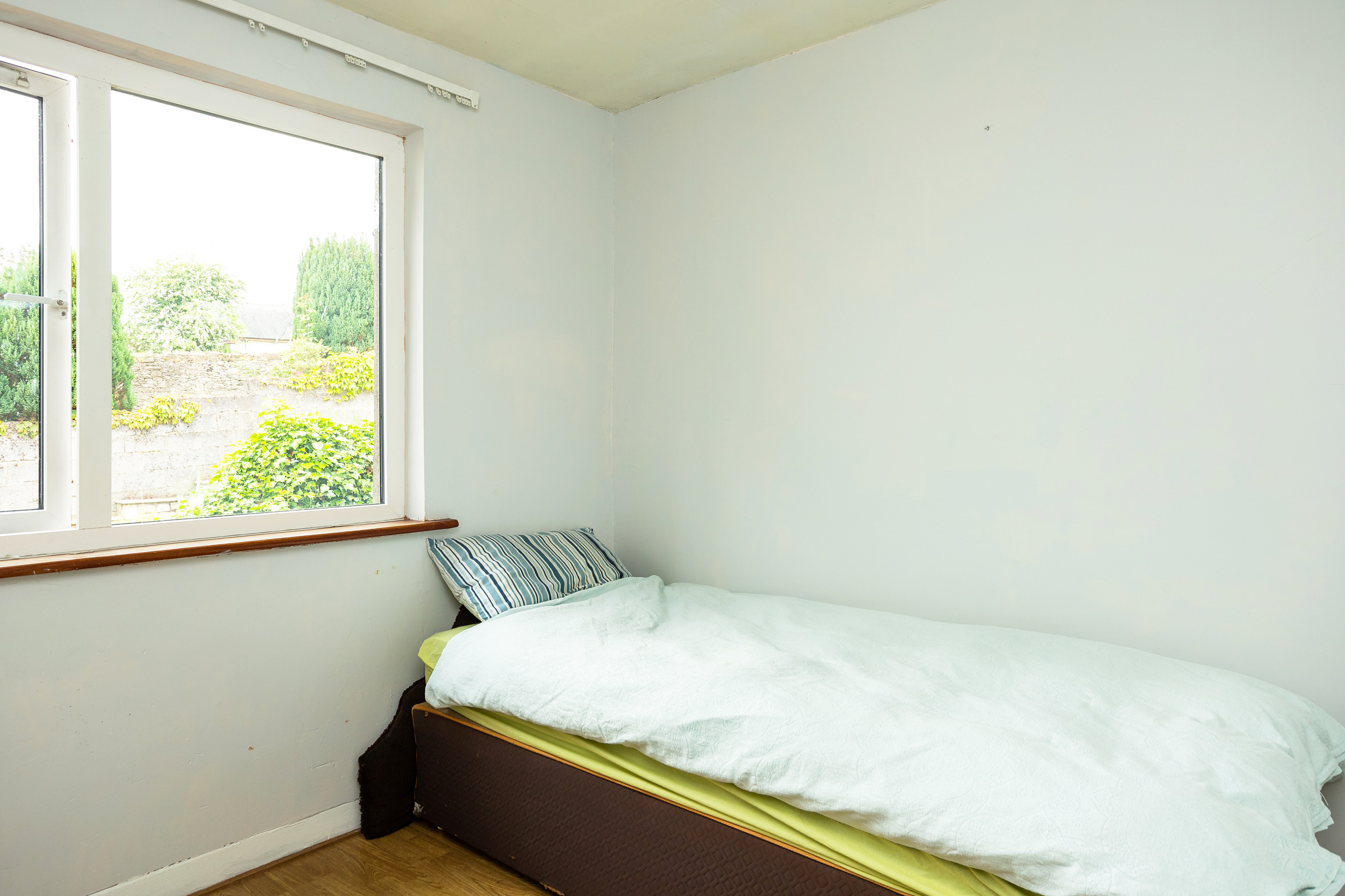Photo: Niamh Whitty/www.pictureitsold.ie