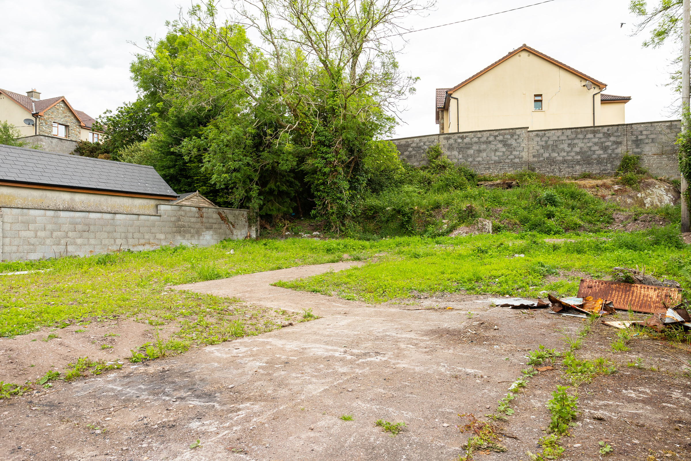 Photo: Niamh Whitty/www.pictureitsold.ie