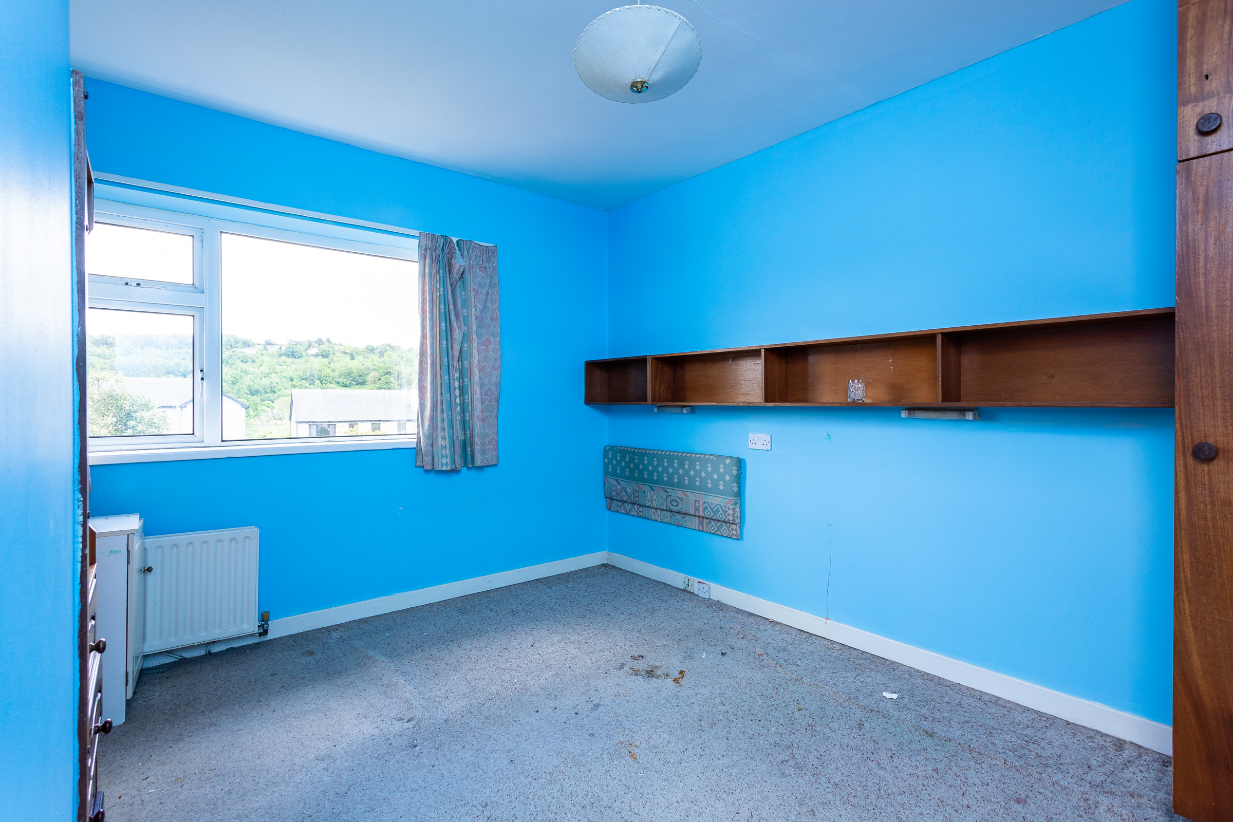 Photo: Niamh Whitty/www.pictureitsold.ie
