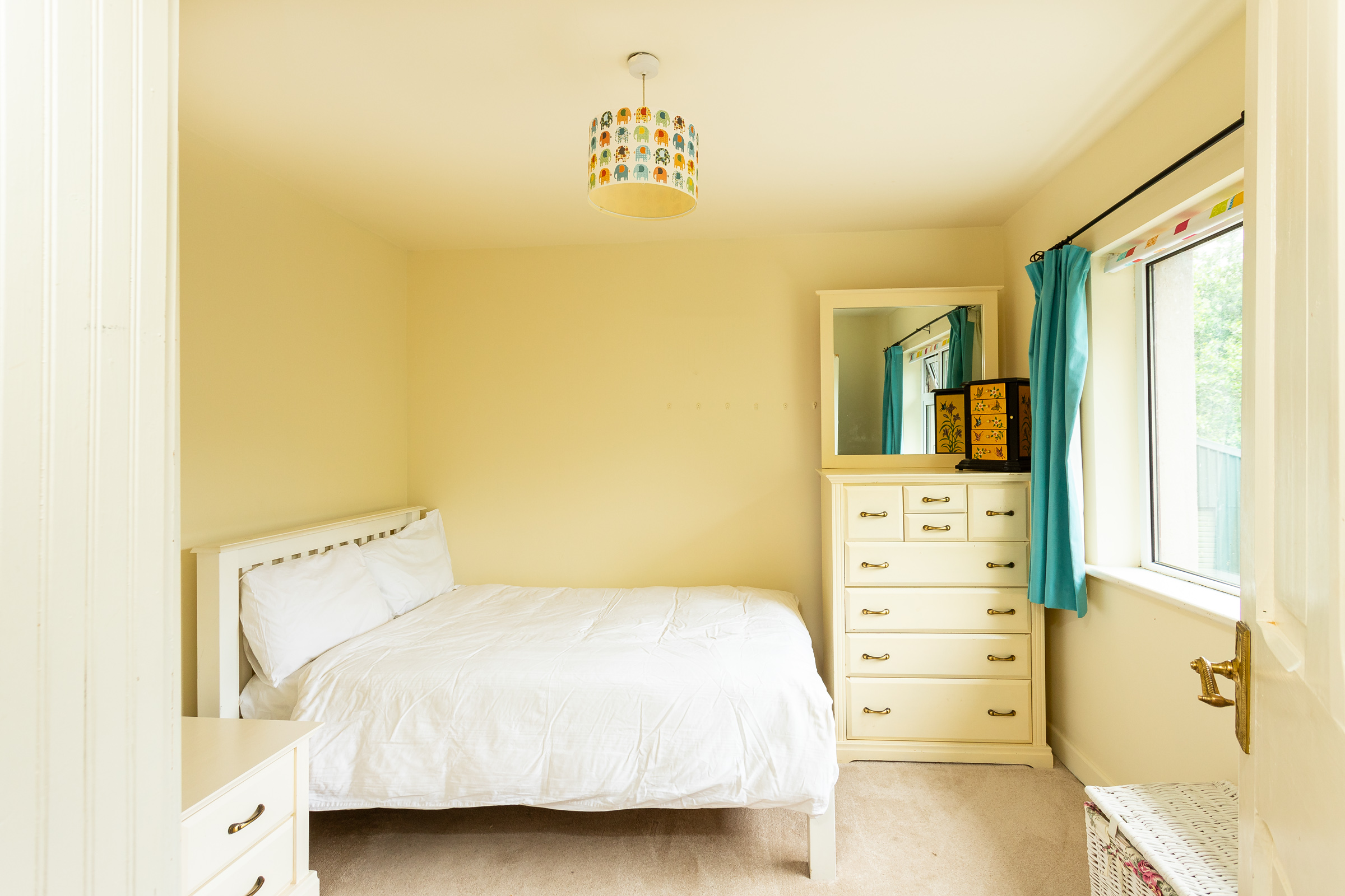 Photo: Niamh Whitty/www.pictureitsold.ie