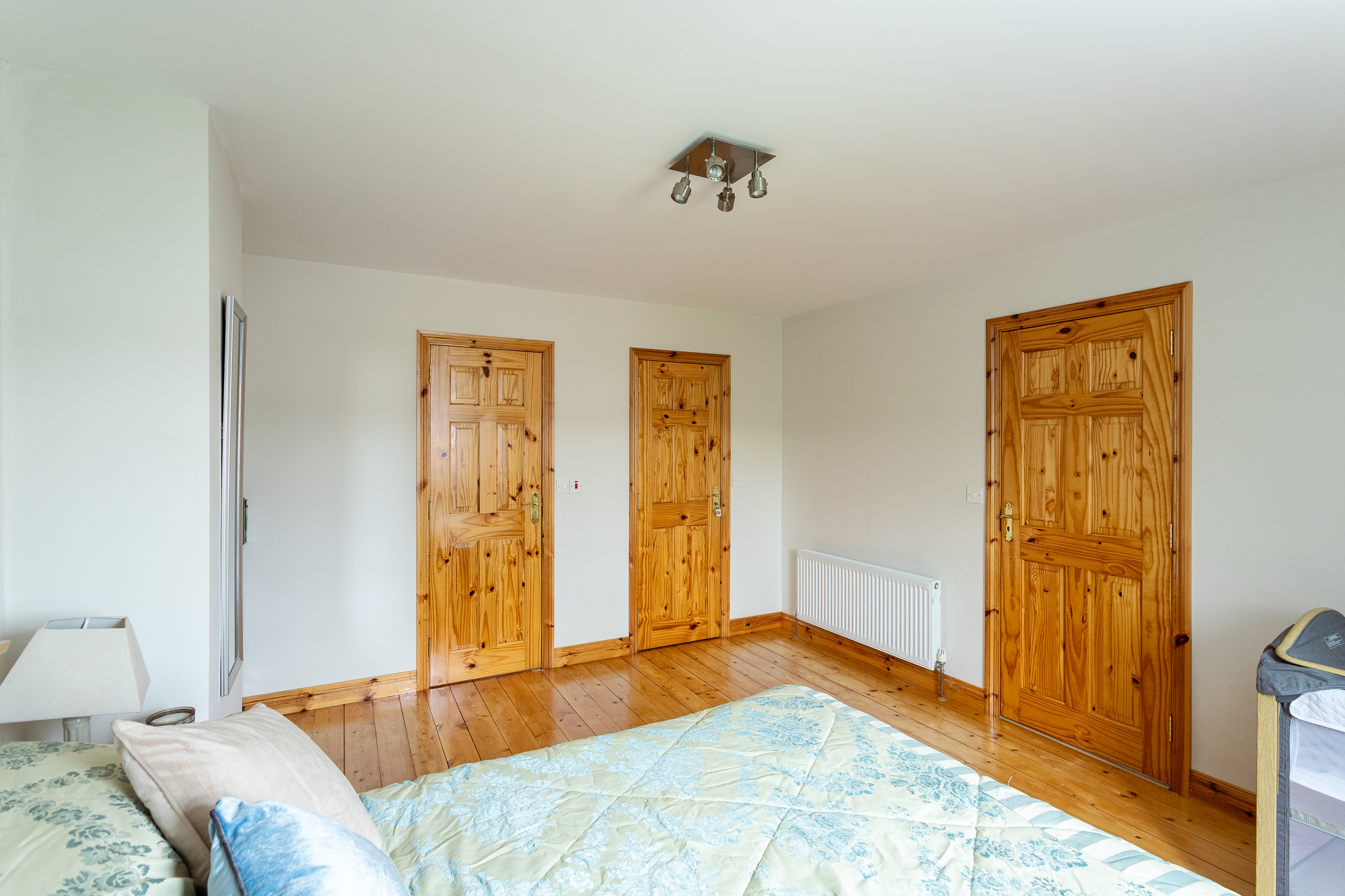 Photo: Niamh Whitty/www.pictureitsold.ie