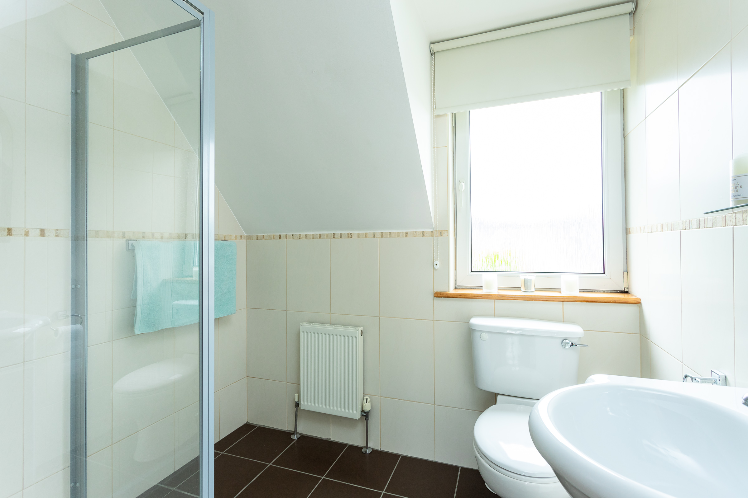 Photo: Niamh Whitty/www.pictureitsold.ie