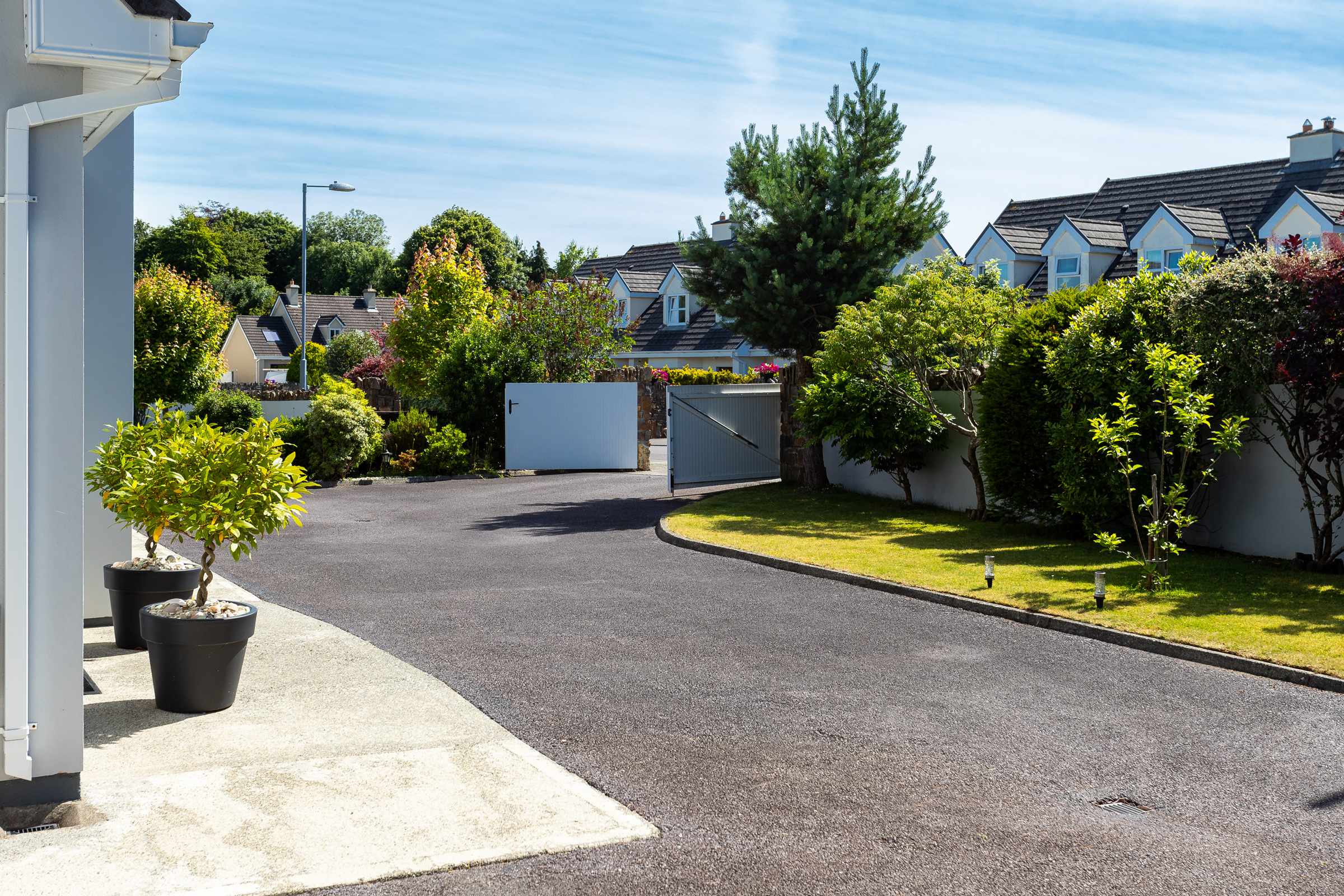 Photo: Niamh Whitty/www.pictureitsold.ie