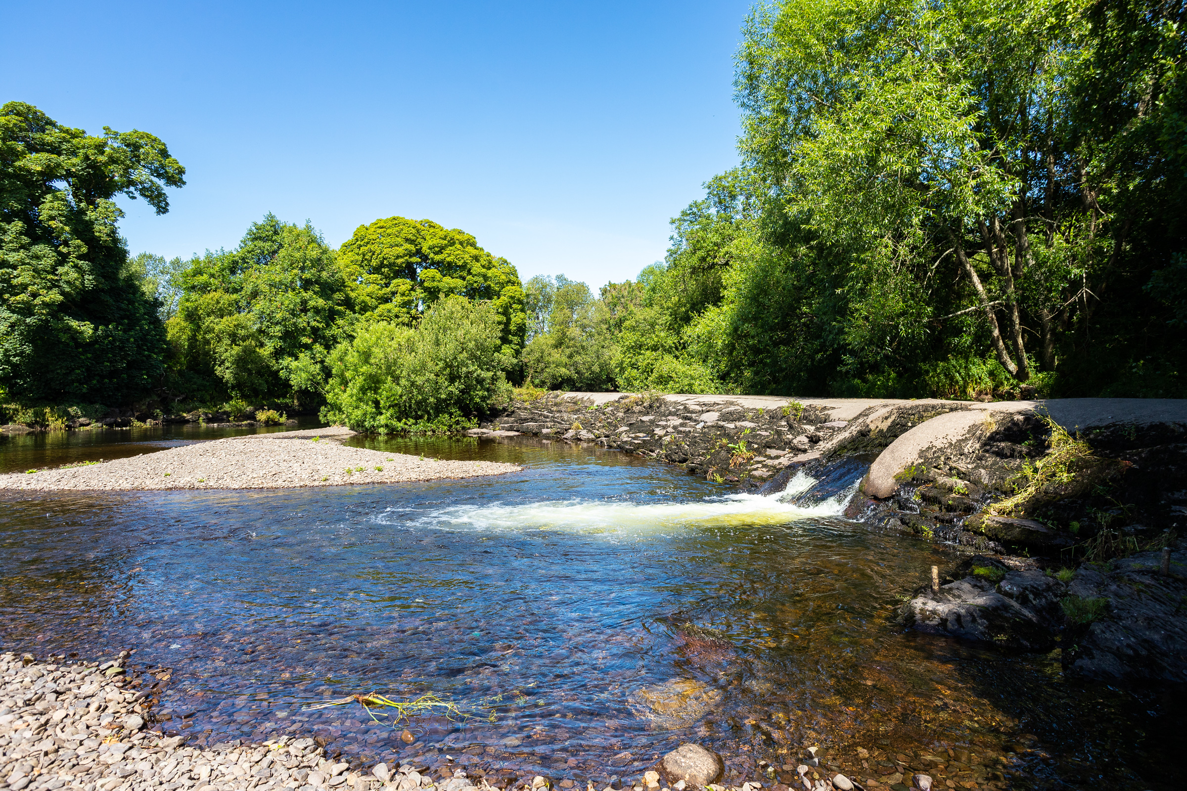 Photo: Niamh Whitty/www.pictureitsold.ie