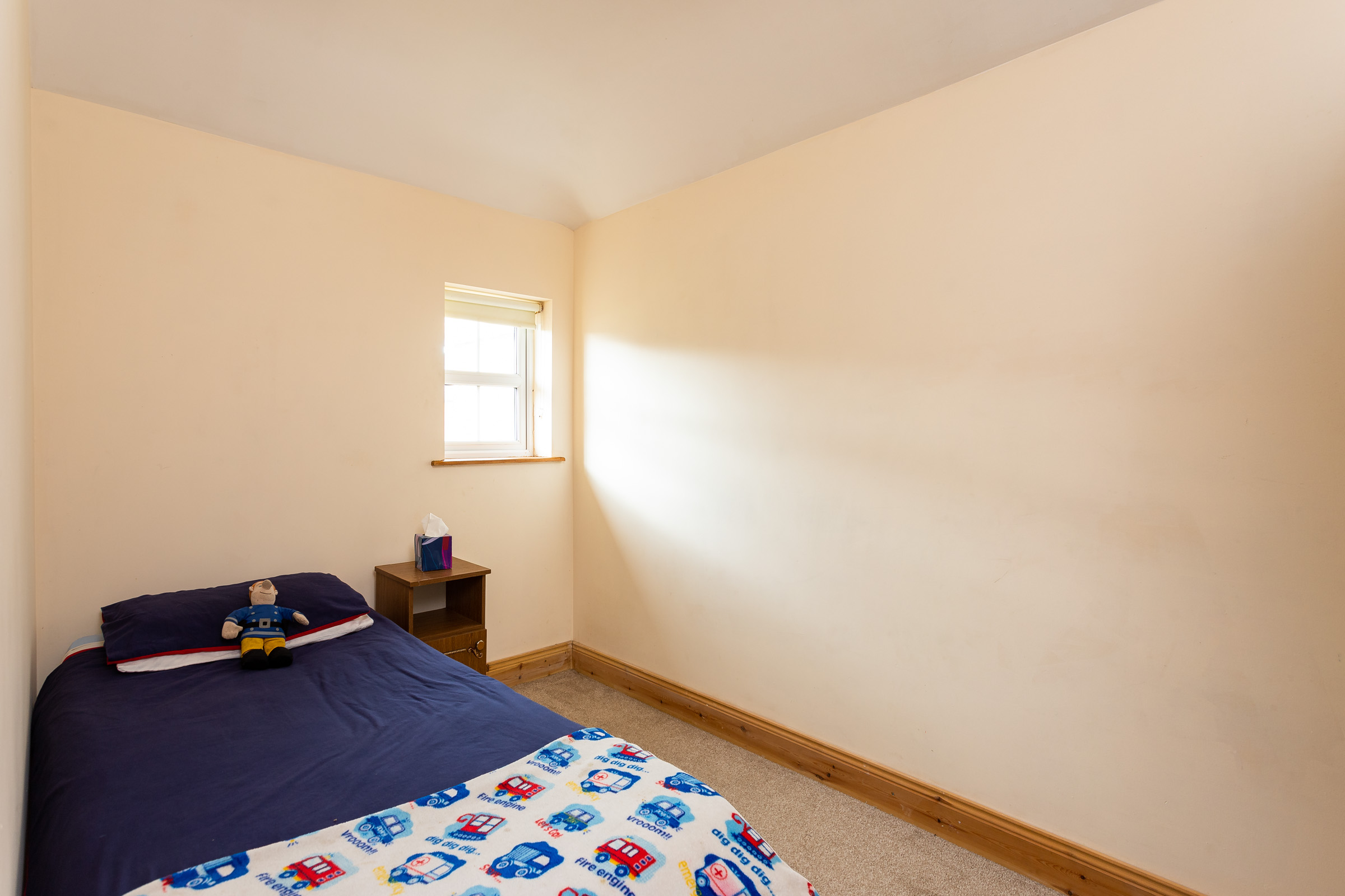 Photo: Niamh Whitty/www.pictureitsold.ie